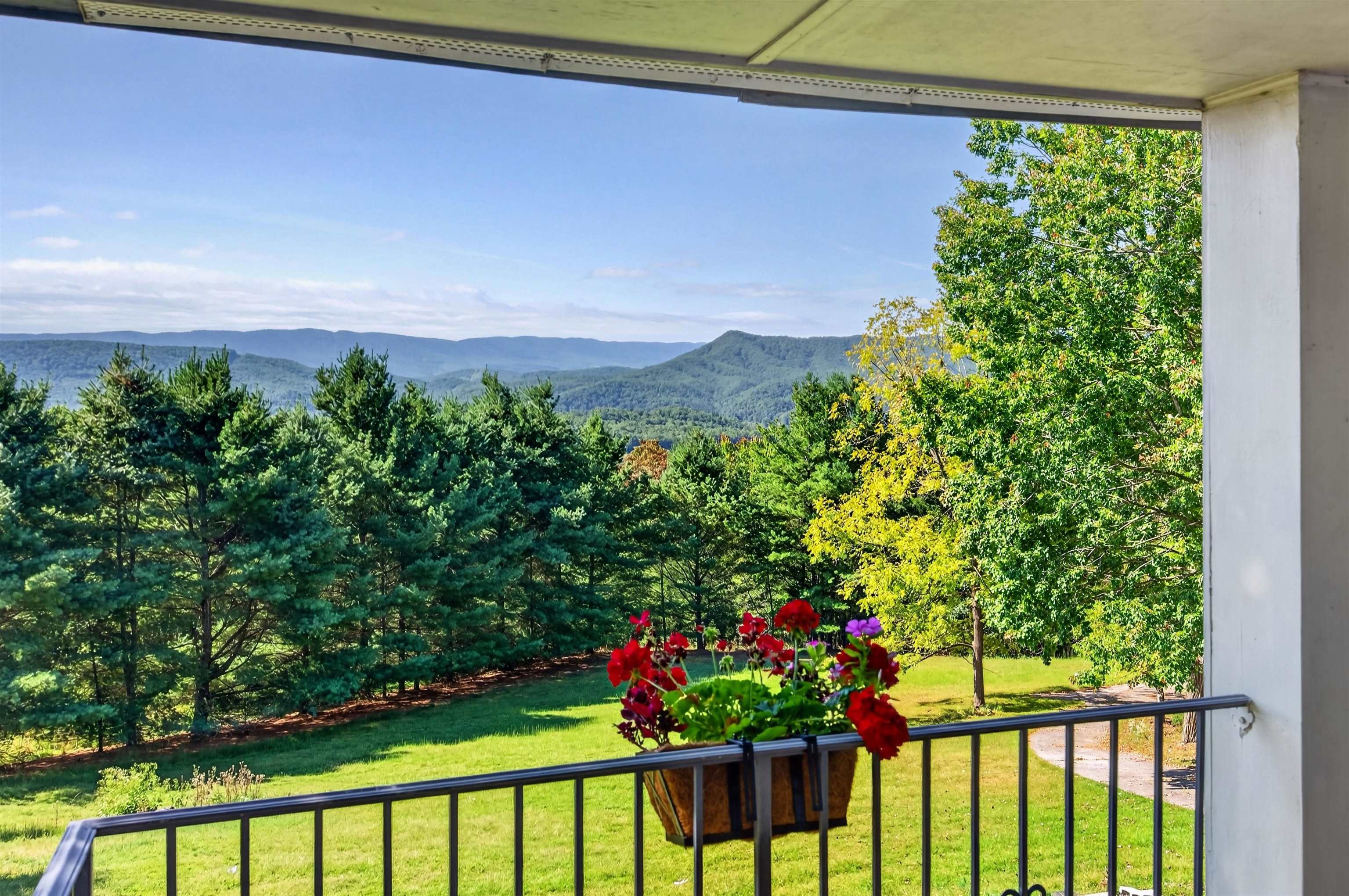 403 Wright Mountain Drive Bland VA 24315