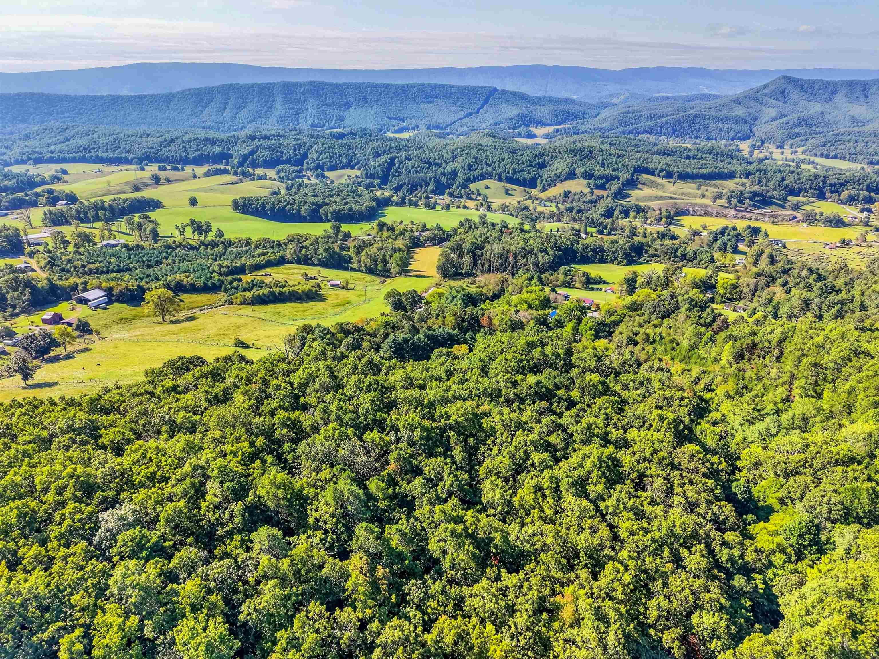 403 Wright Mountain Drive Bland VA 24315