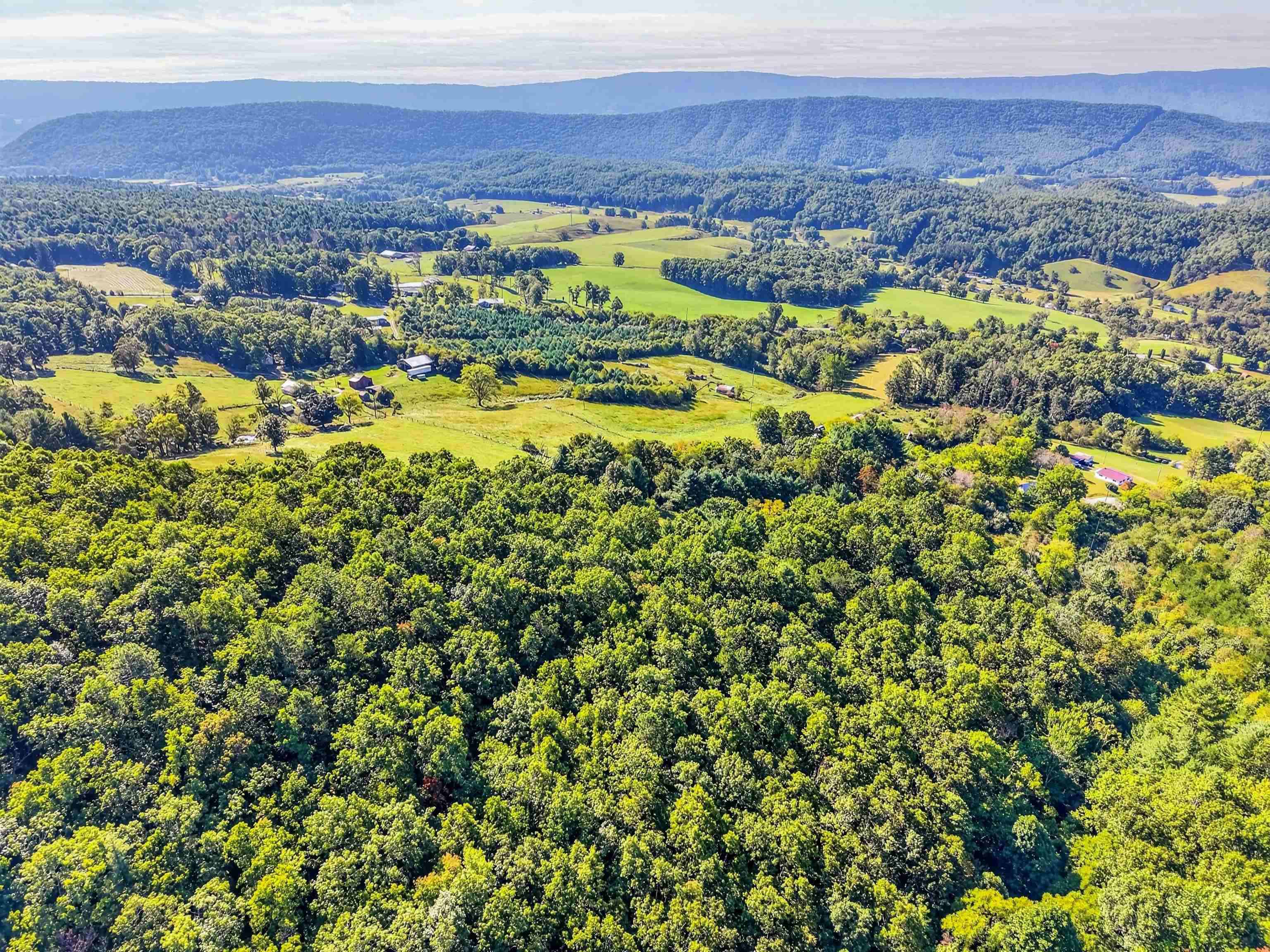 403 Wright Mountain Drive Bland VA 24315