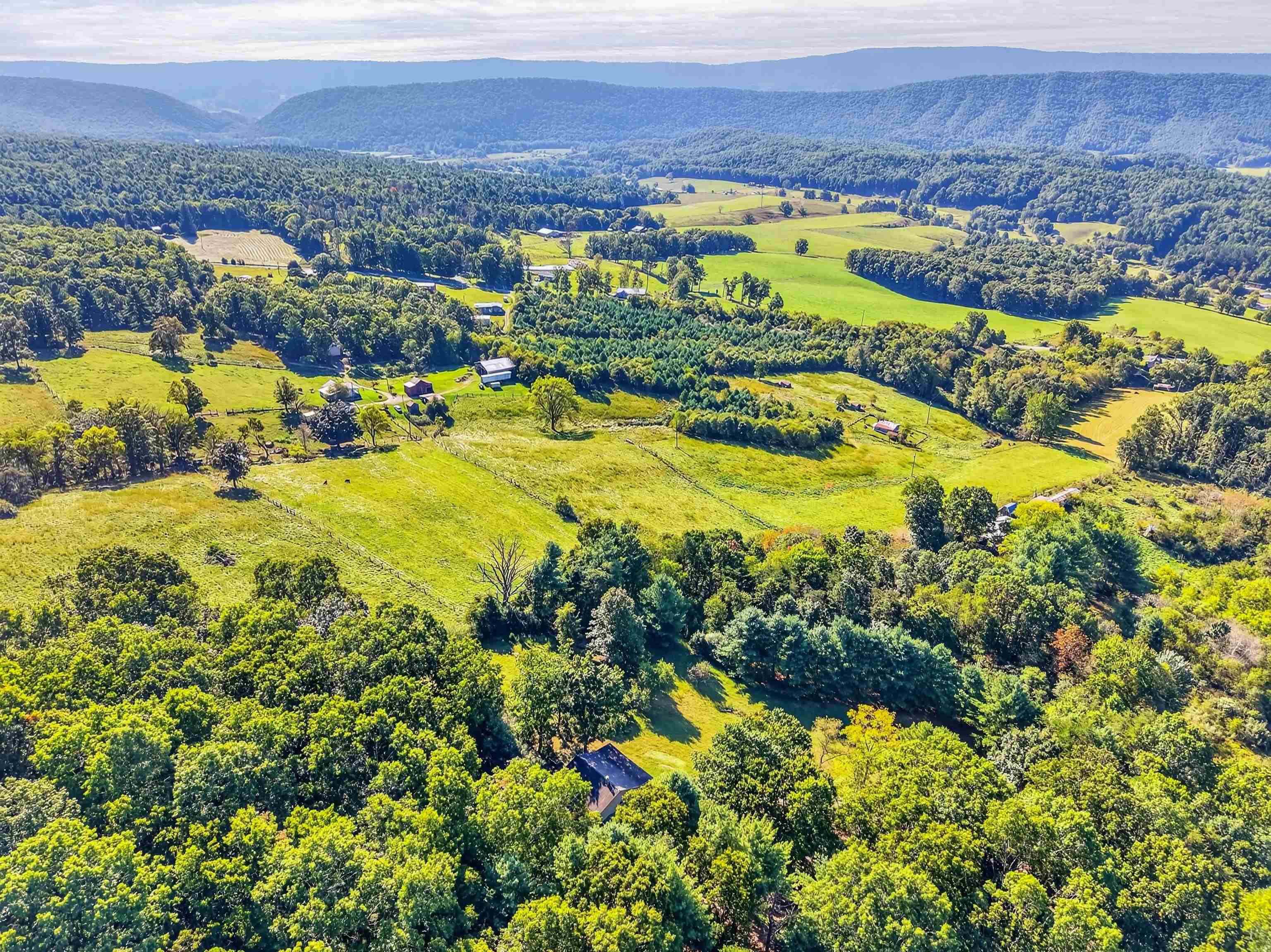 403 Wright Mountain Drive Bland VA 24315