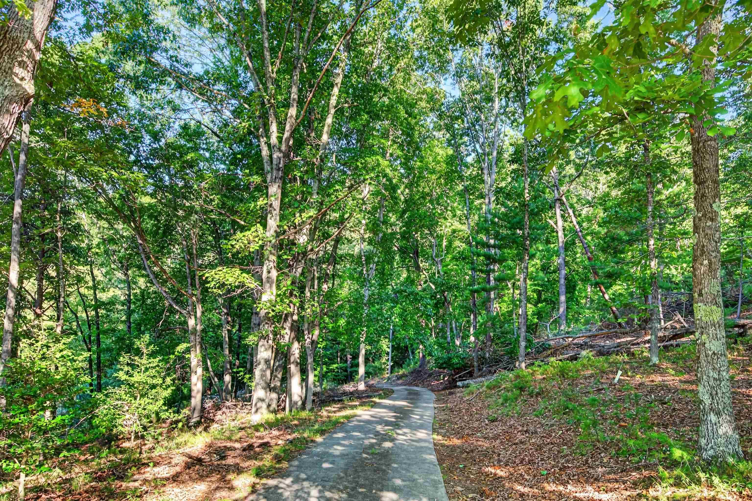 403 Wright Mountain Drive Bland VA 24315