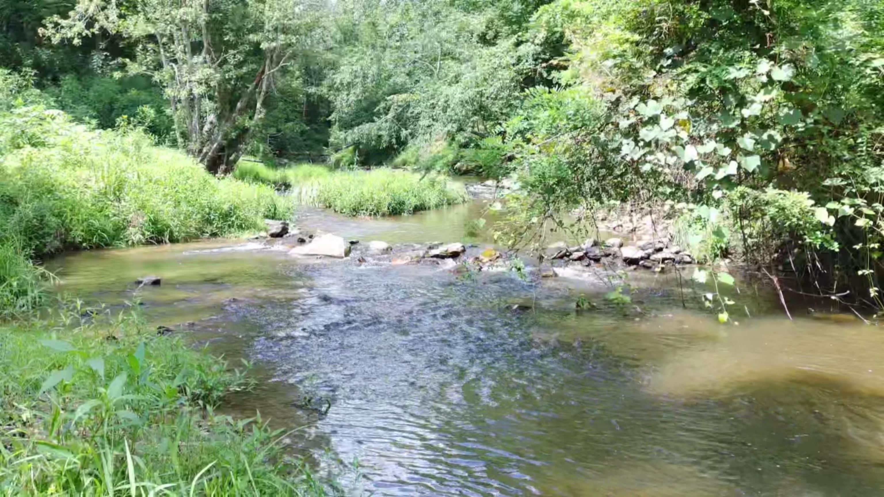 2900 Floyd Highway N Floyd VA 24091