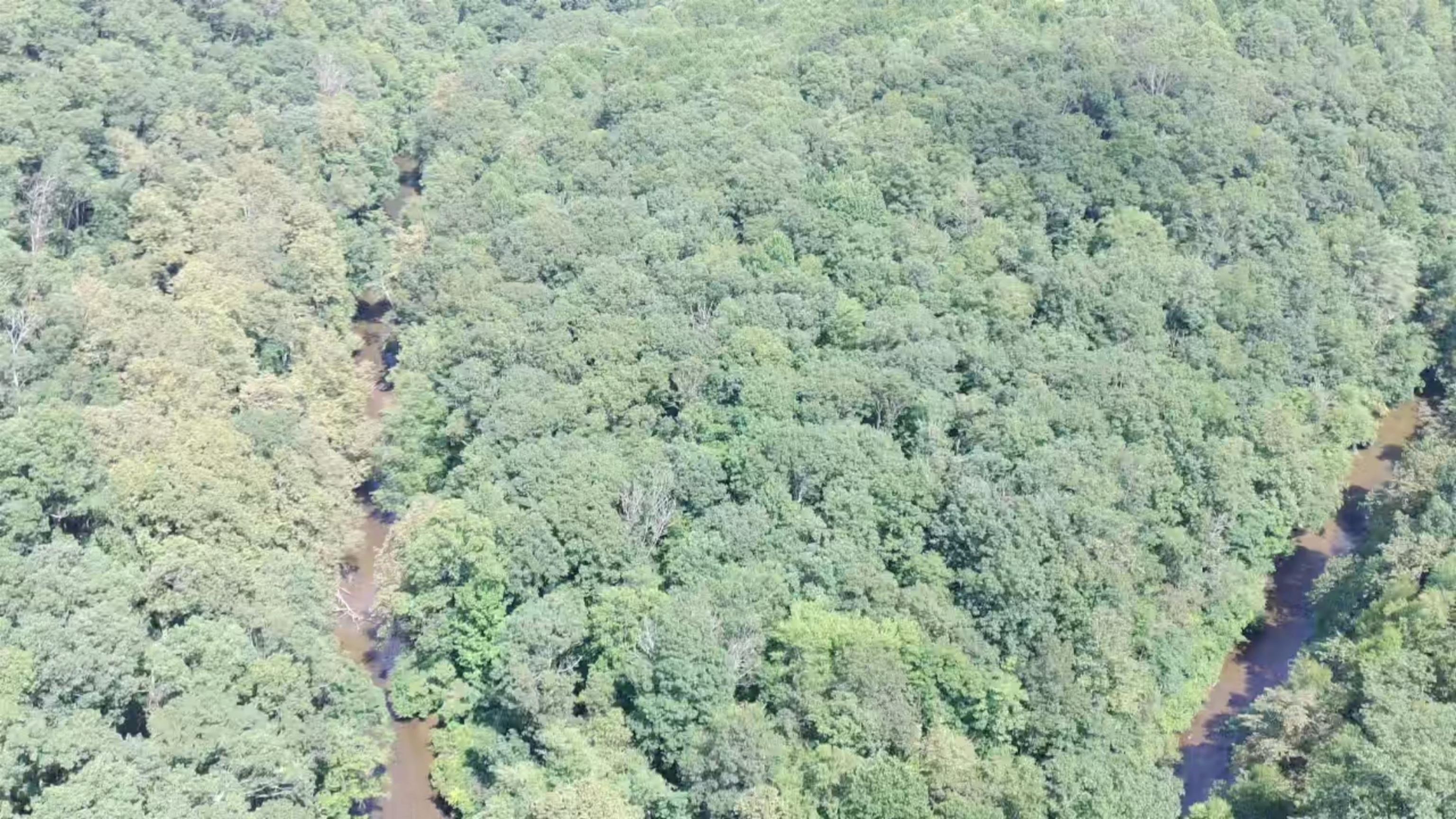 2900 Floyd Highway N Floyd VA 24091