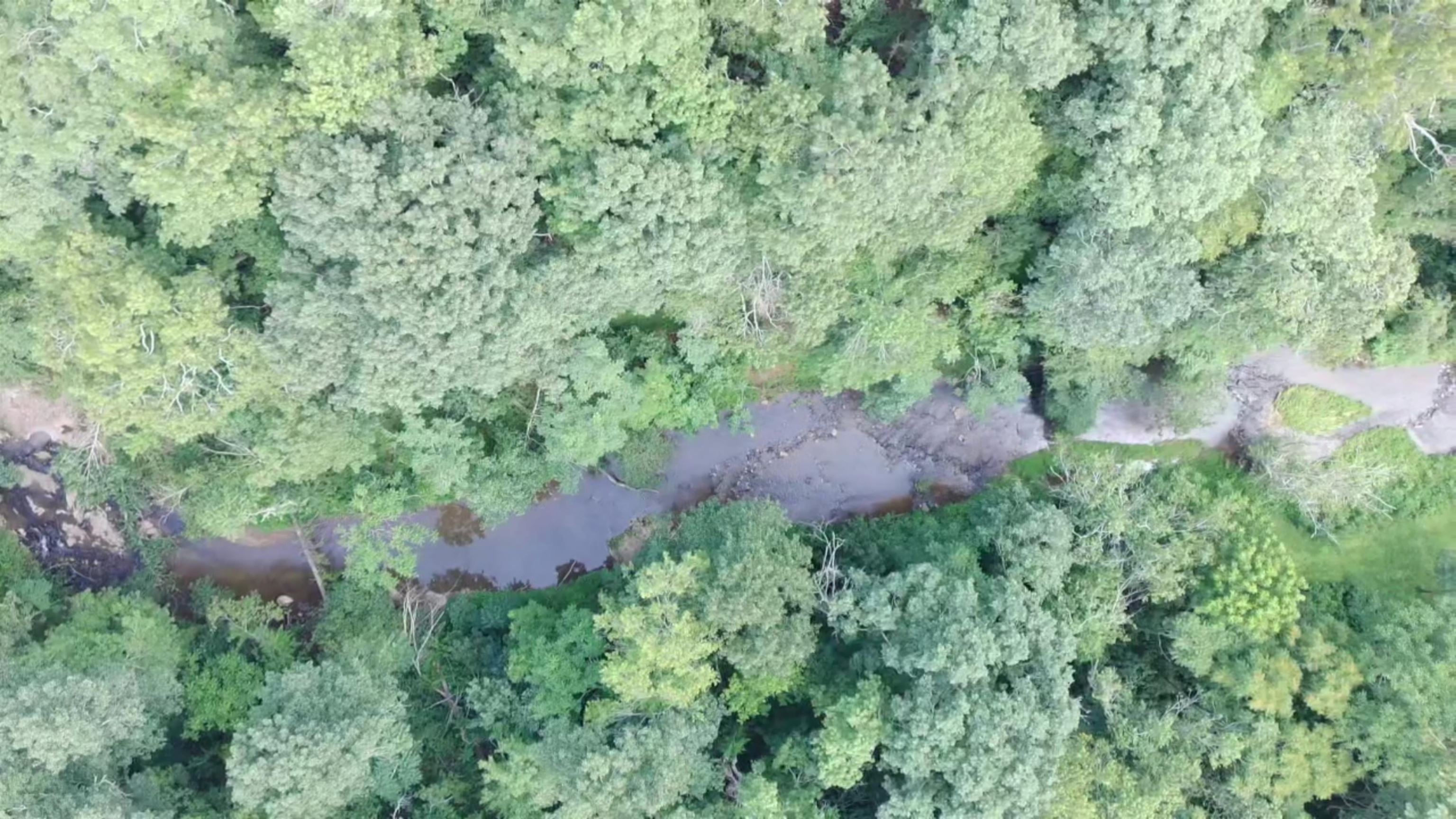 2900 Floyd Highway N Floyd VA 24091