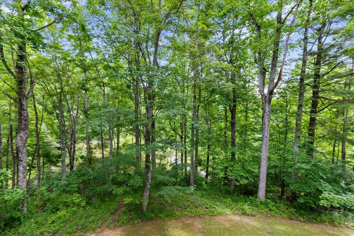 674 Wild Cherry Road NE Pilot VA 24138
