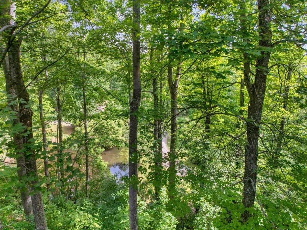 674 Wild Cherry Road NE Pilot VA 24138
