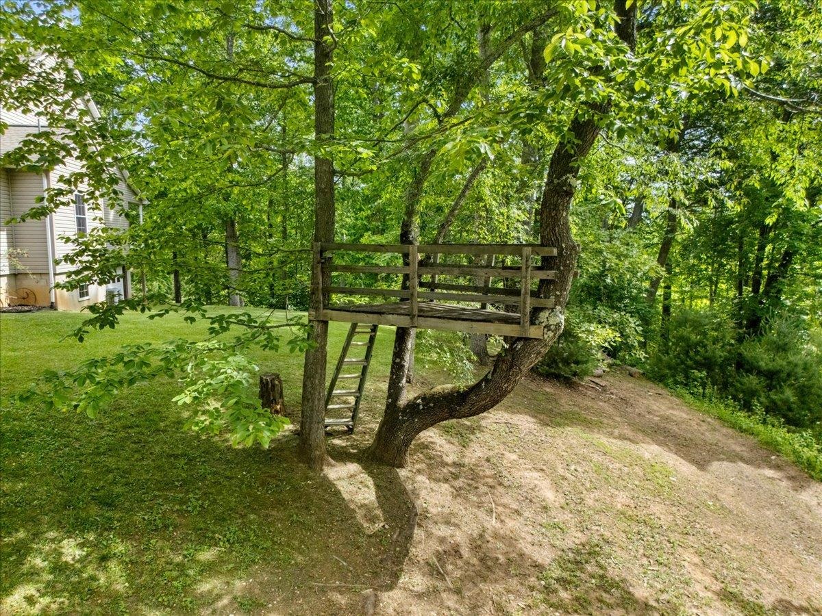 674 Wild Cherry Road NE Pilot VA 24138