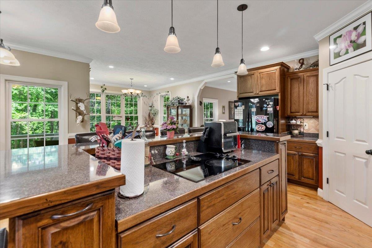 674 Wild Cherry Road NE Pilot VA 24138