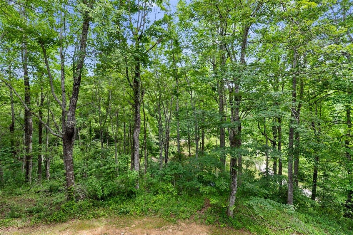 674 Wild Cherry Road NE Pilot VA 24138
