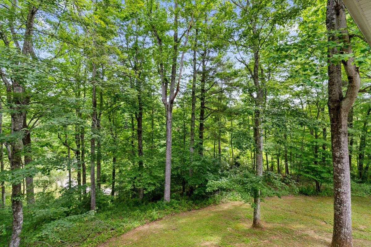 674 Wild Cherry Road NE Pilot VA 24138