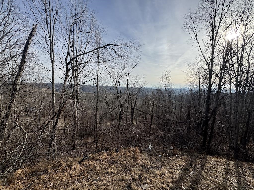 1212 Eagle View Drive NE Pilot VA 24138