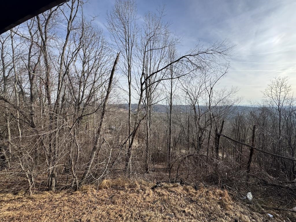 1212 Eagle View Drive NE Pilot VA 24138
