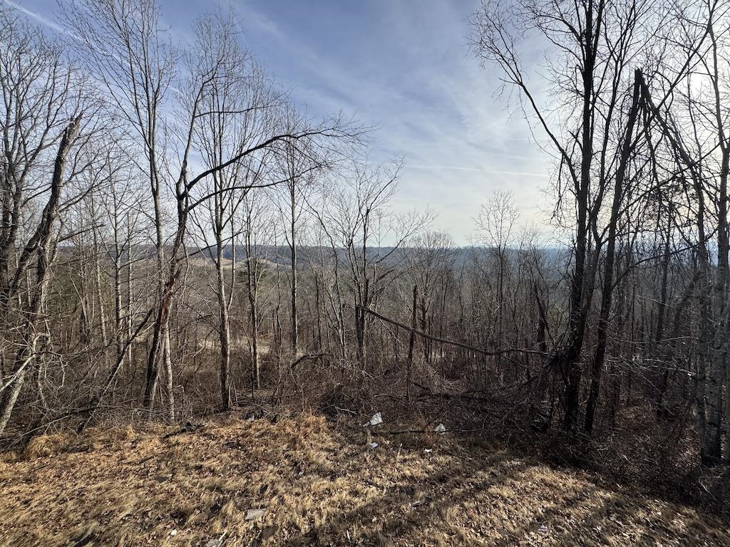 1212 Eagle View Drive NE Pilot VA 24138
