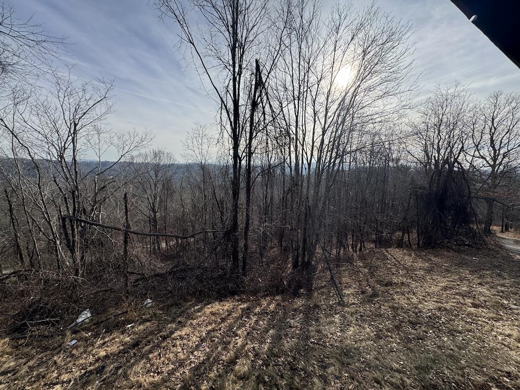 1212 Eagle View Drive NE Pilot VA 24138