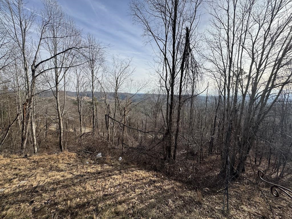 1212 Eagle View Drive NE Pilot VA 24138