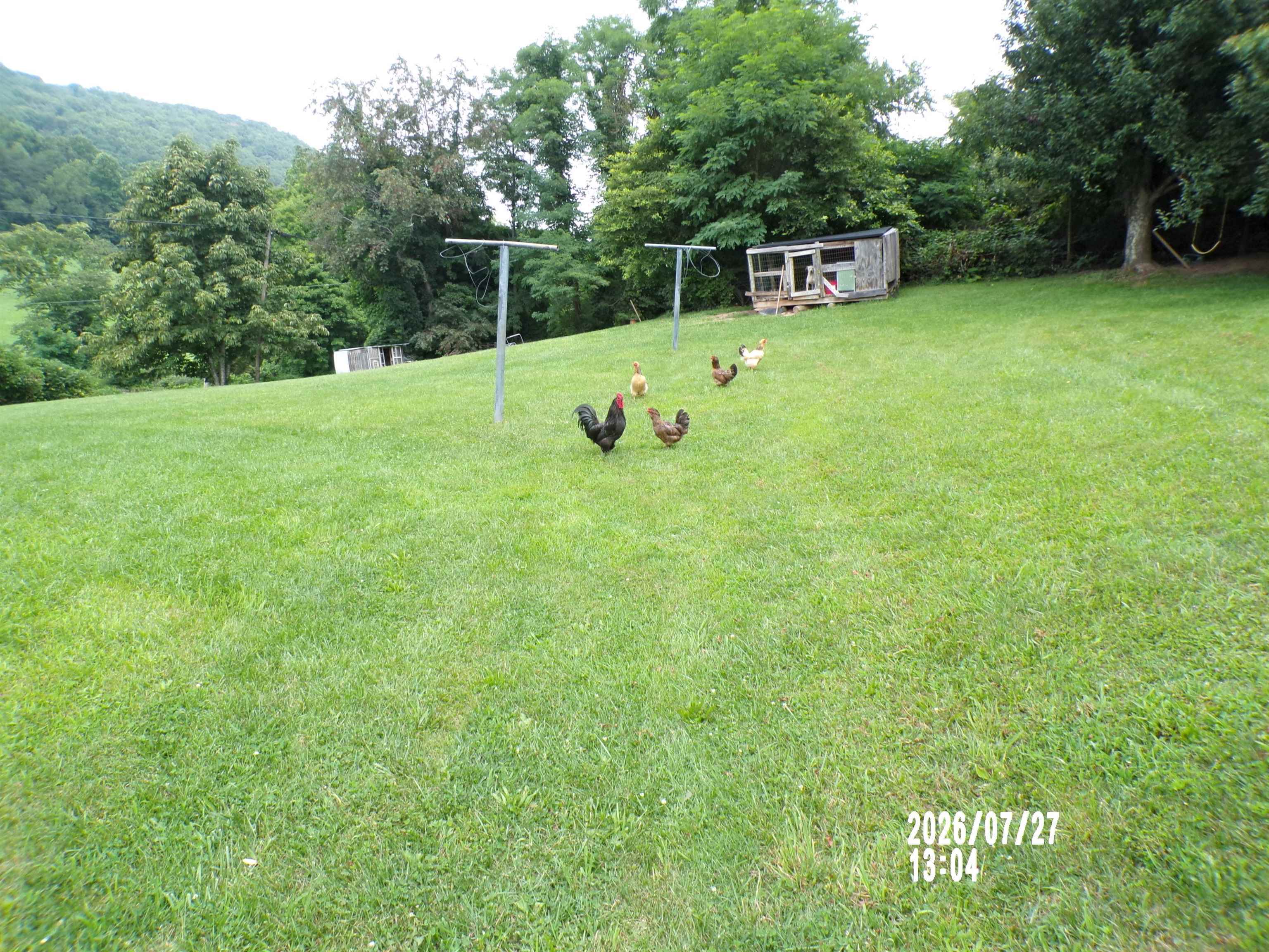 11374 E Blue Grass Trail E Bland VA 24315