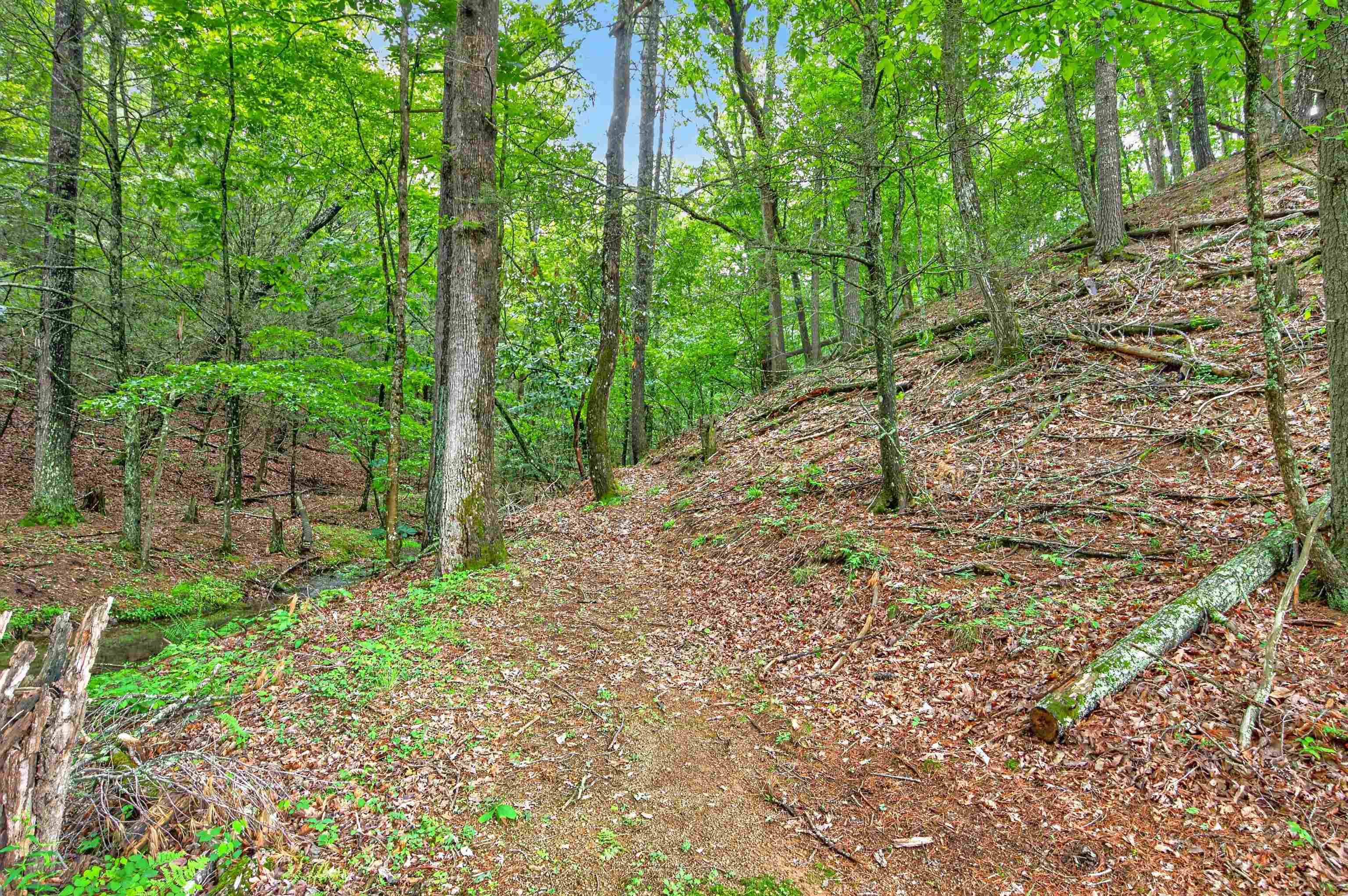 12222 Little Creek Highway Dublin VA 24084