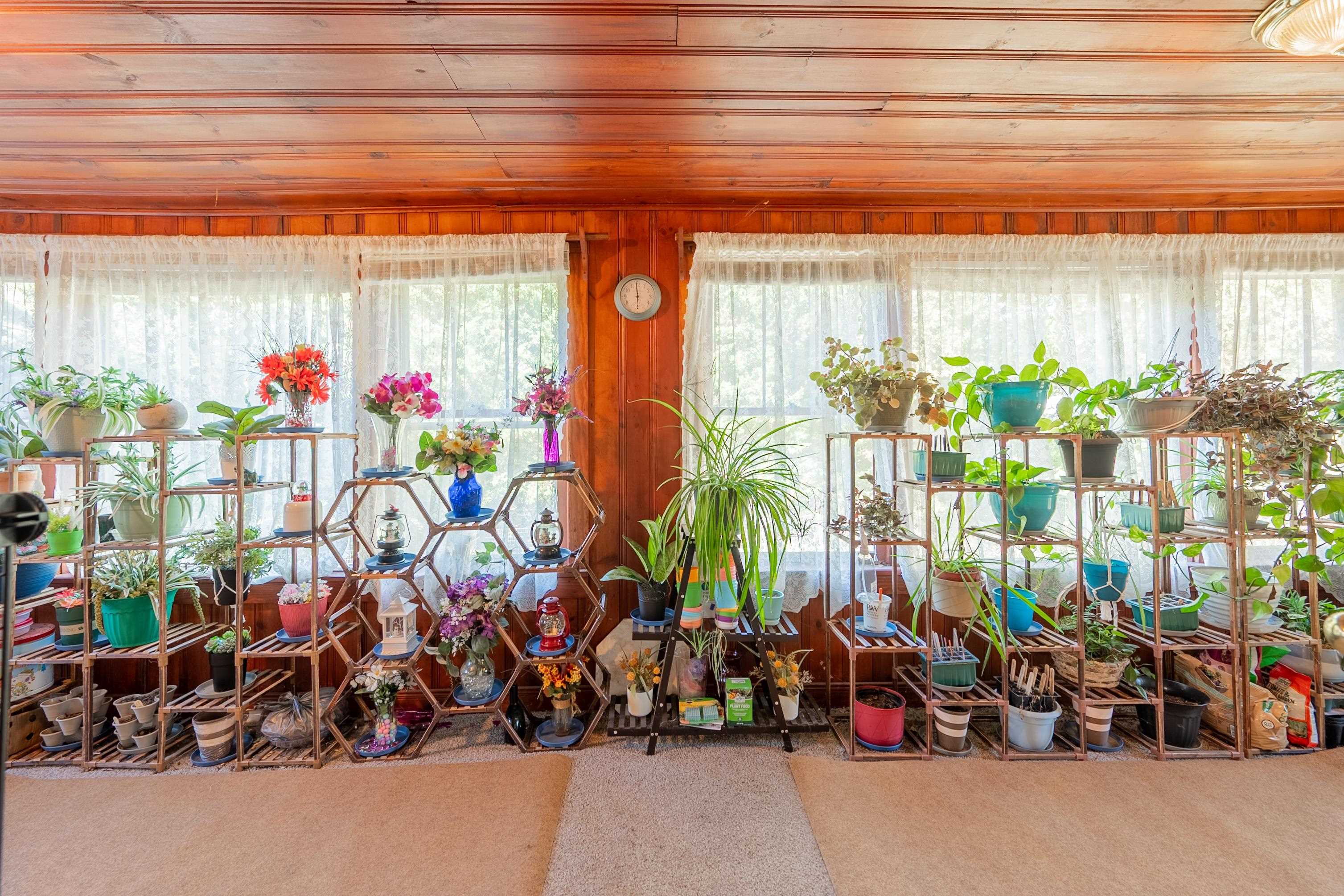 1001 Forest Hill Drive Pulaski VA 24301