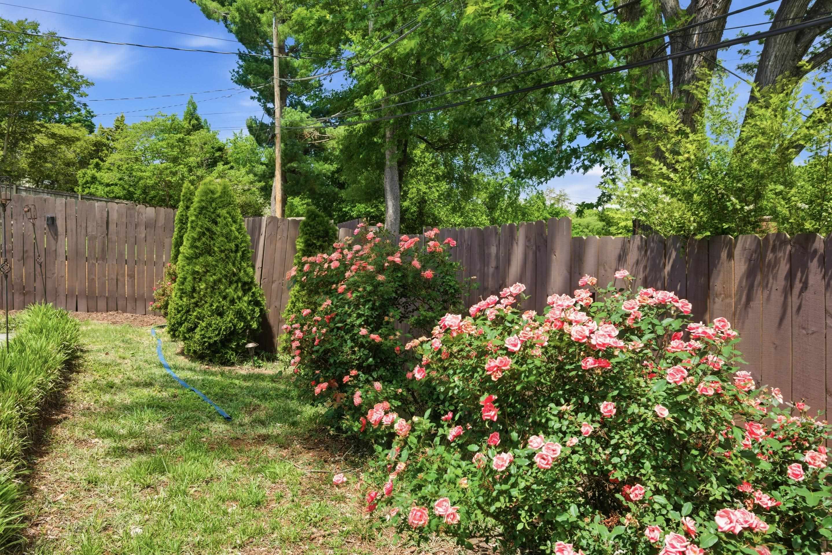 1609 Center Hill Drive SW Roanoke VA 24015