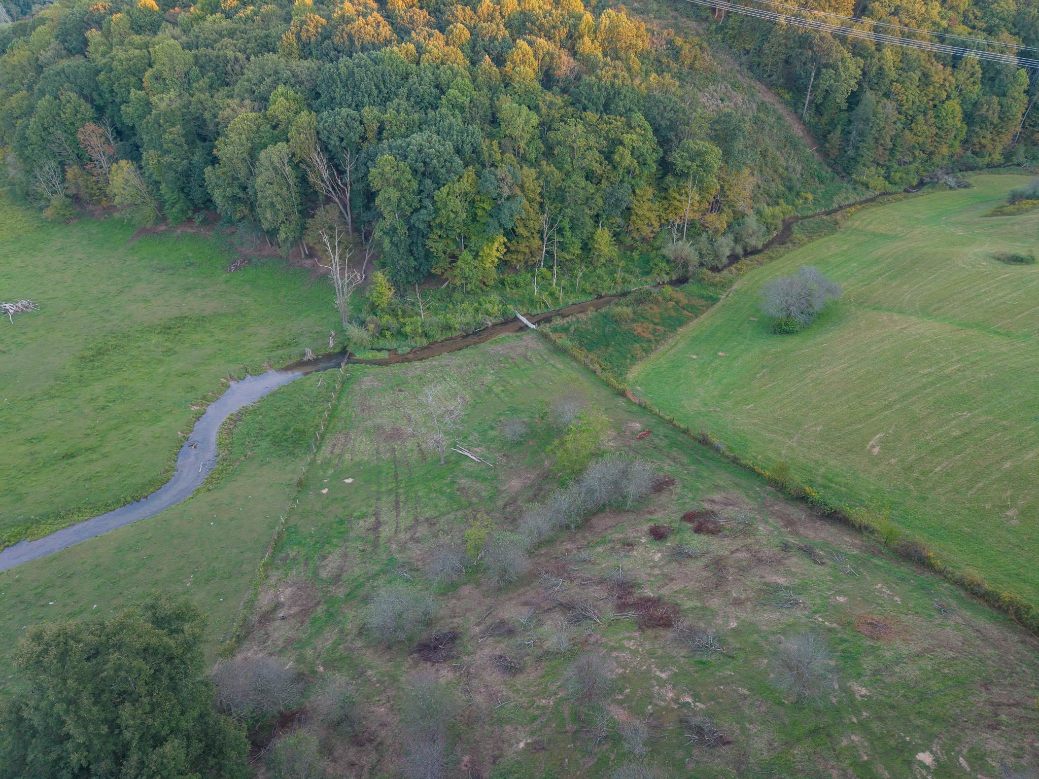 517 Myrtle Lane Rural Retreat VA 24368