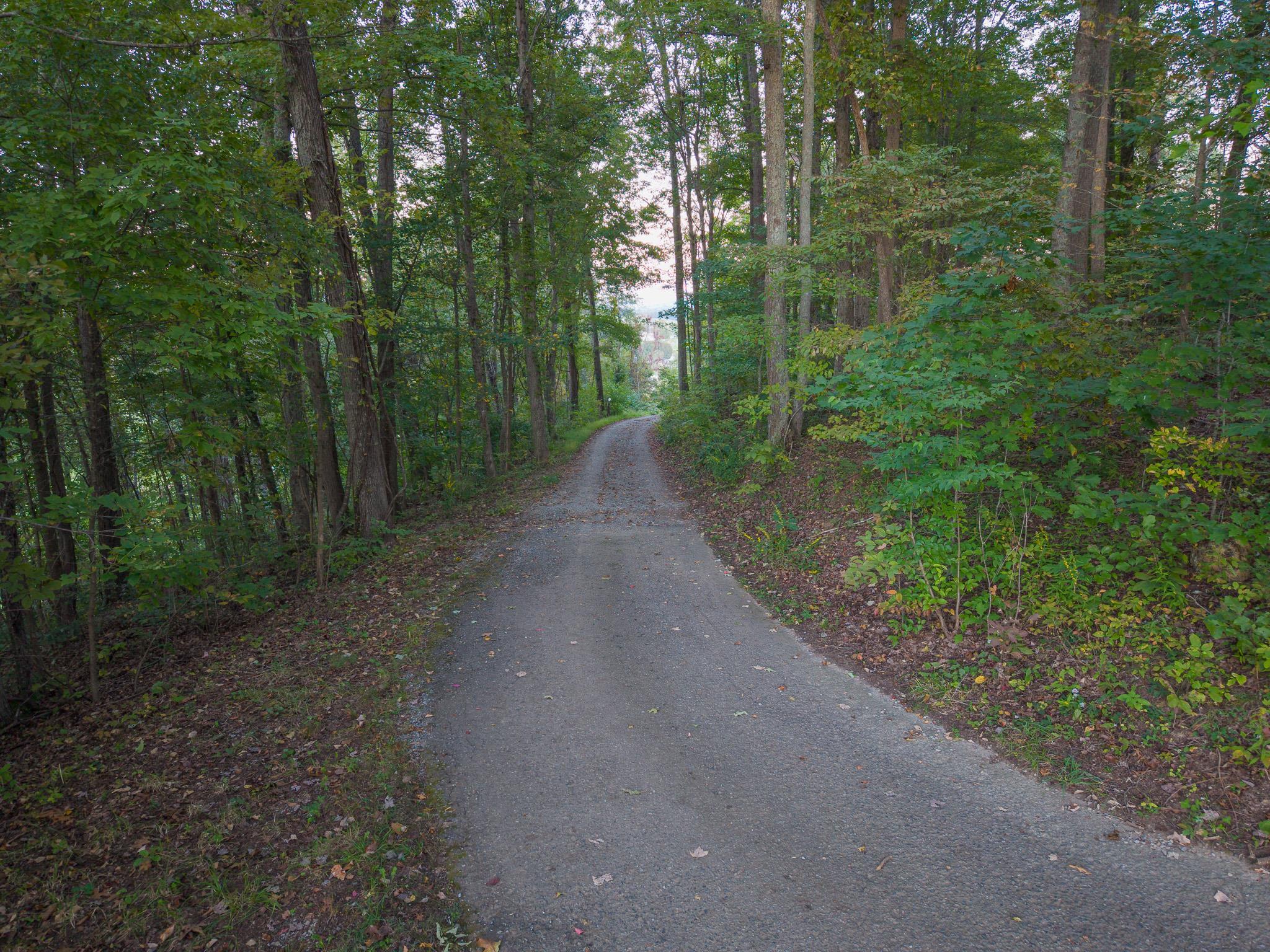 517 Myrtle Lane Rural Retreat VA 24368