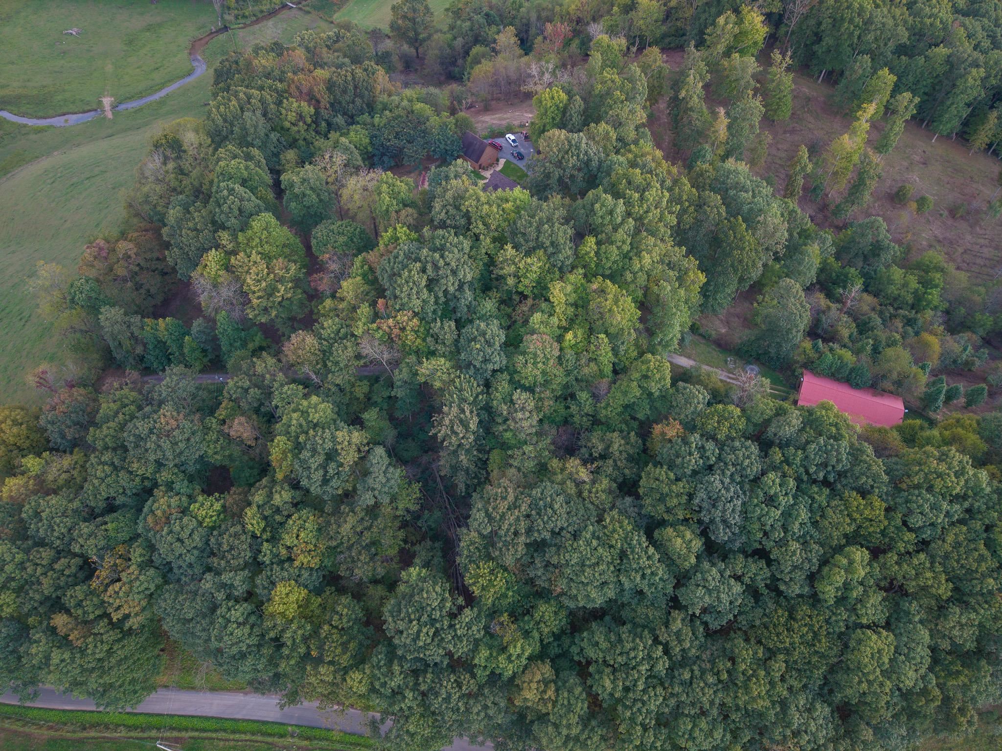 517 Myrtle Lane Rural Retreat VA 24368
