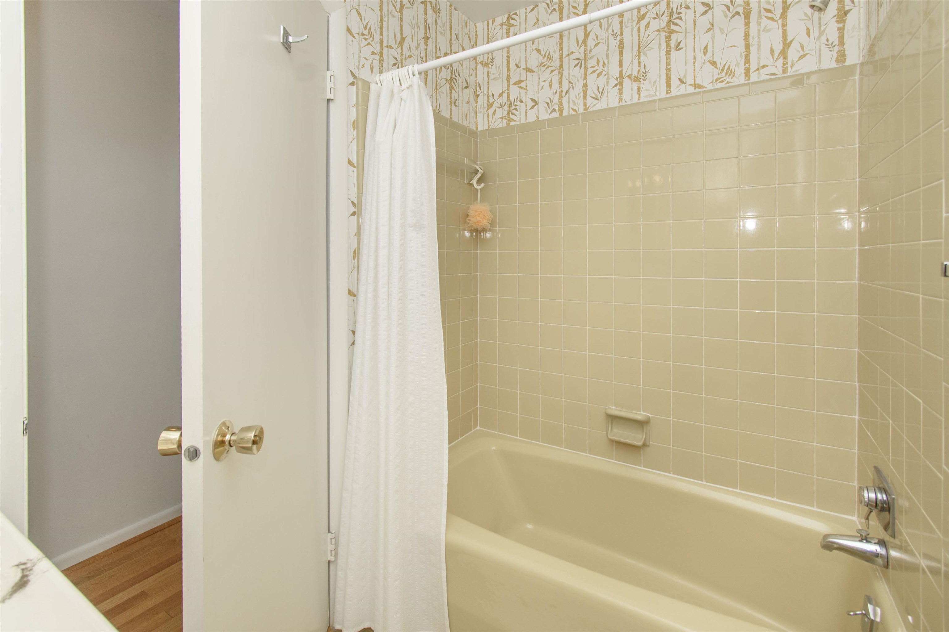 1409 Locust Avenue Blacksburg VA 24060