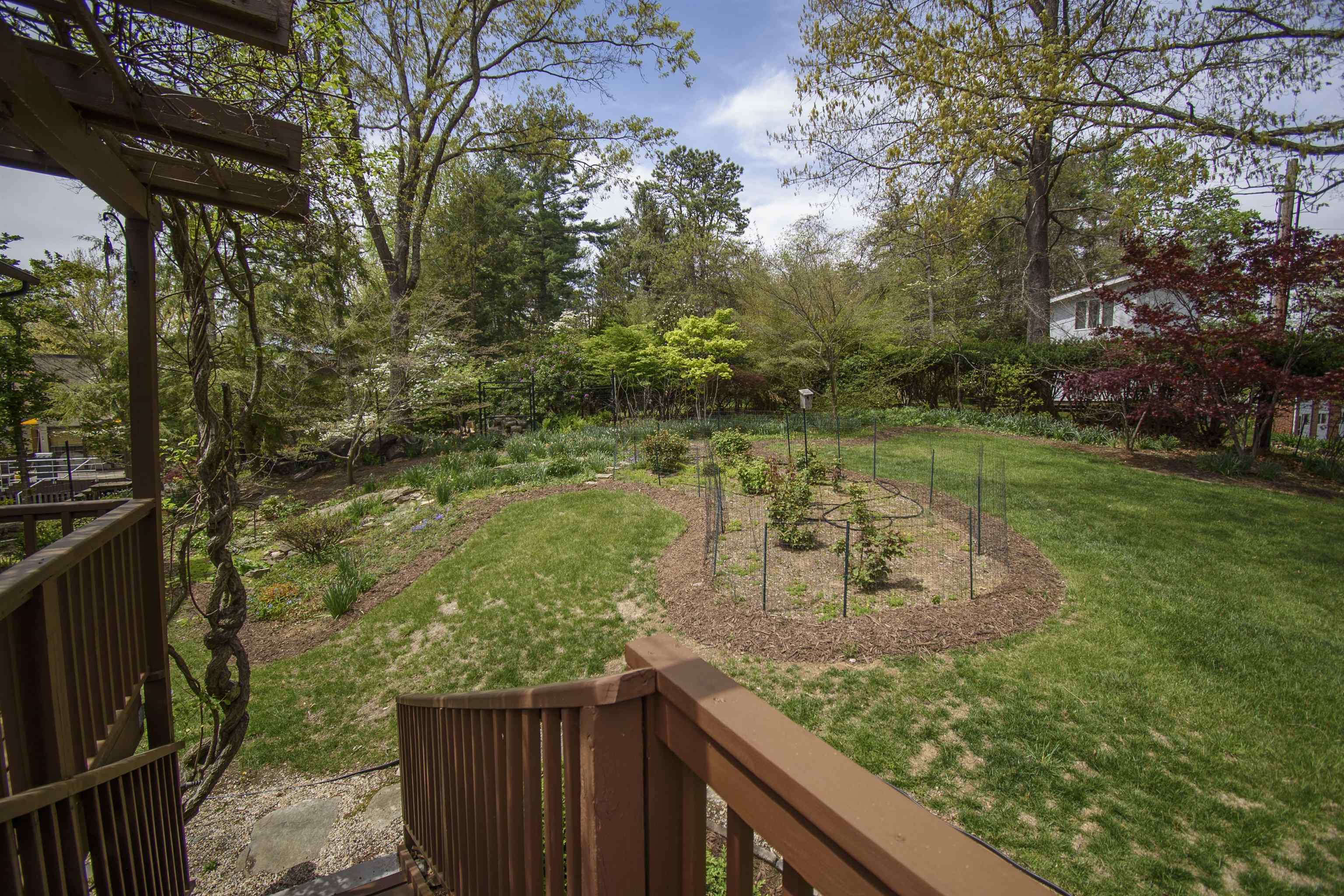 1409 Locust Avenue Blacksburg VA 24060