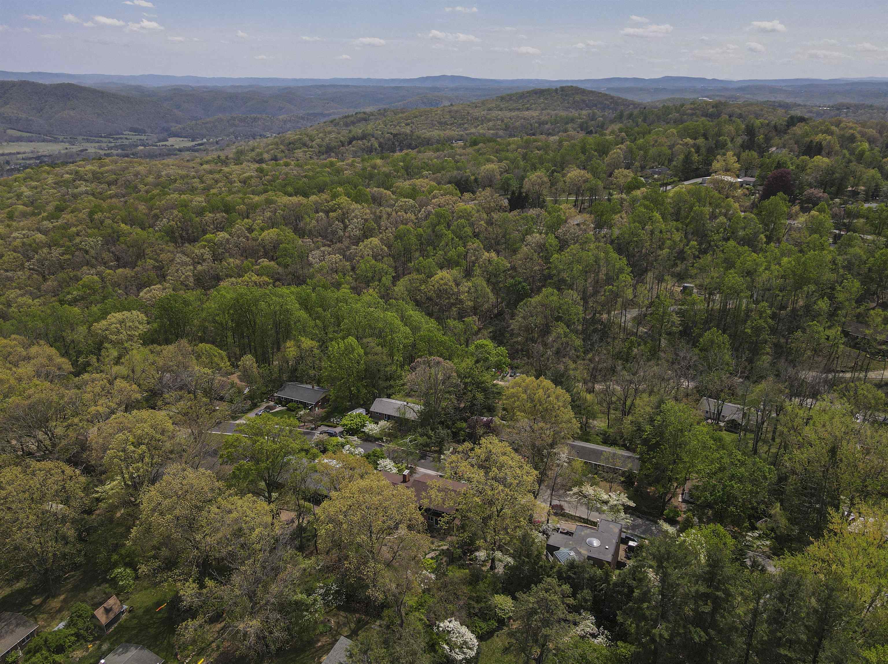 1409 Locust Avenue Blacksburg VA 24060