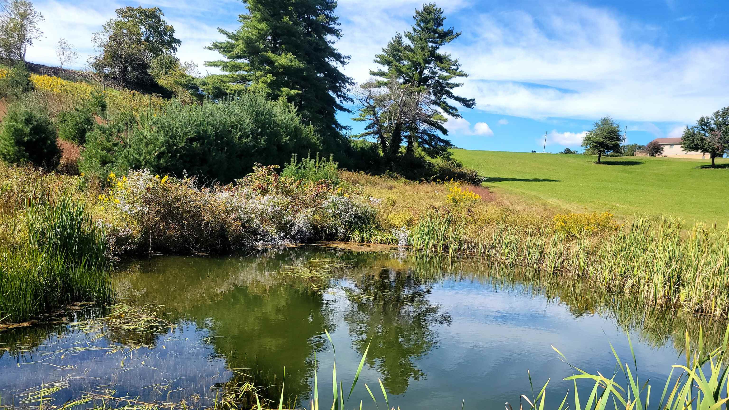 1011 Wilson Cemetery Road Check VA 24072