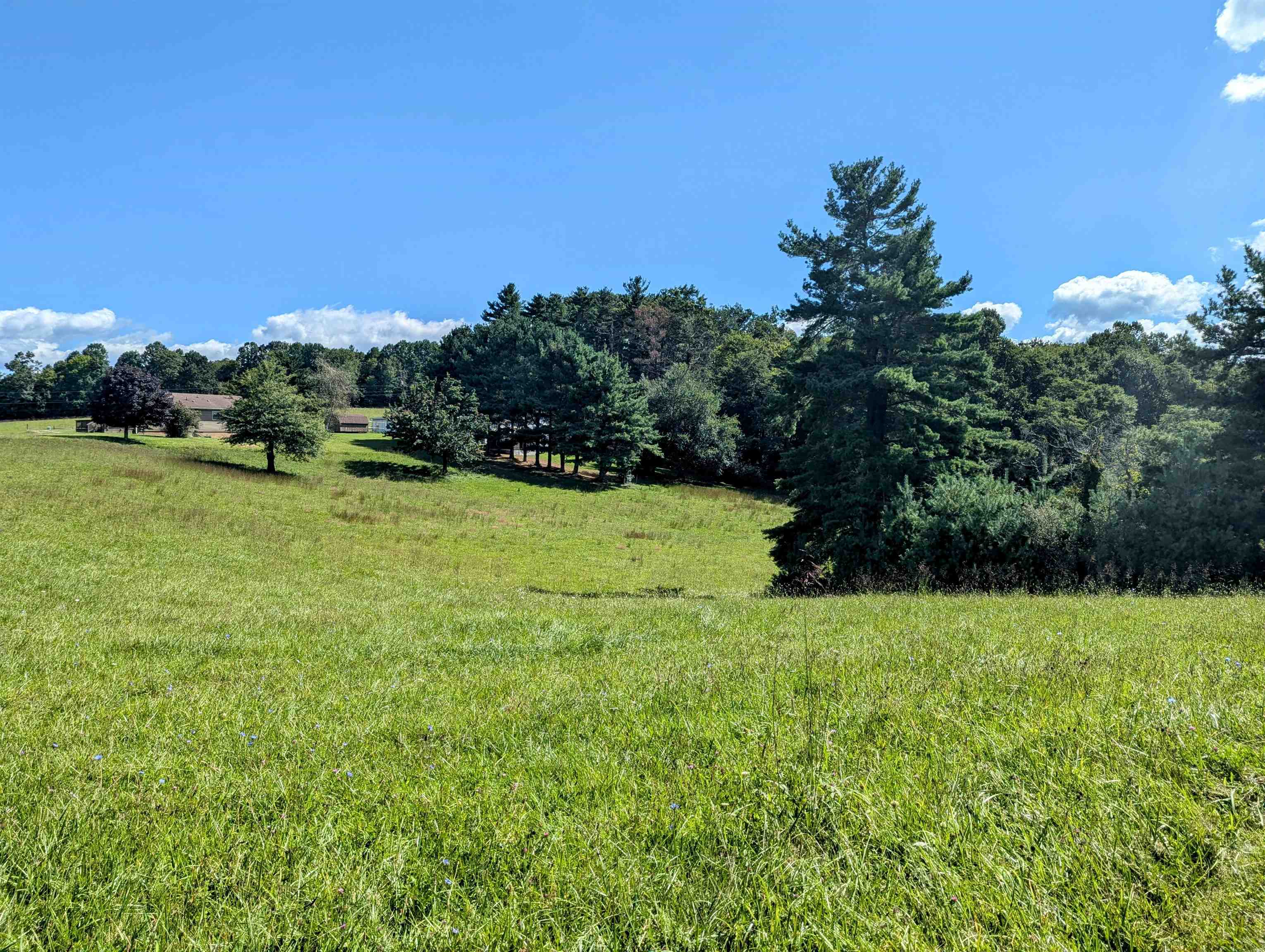 1011 Wilson Cemetery Road Check VA 24072