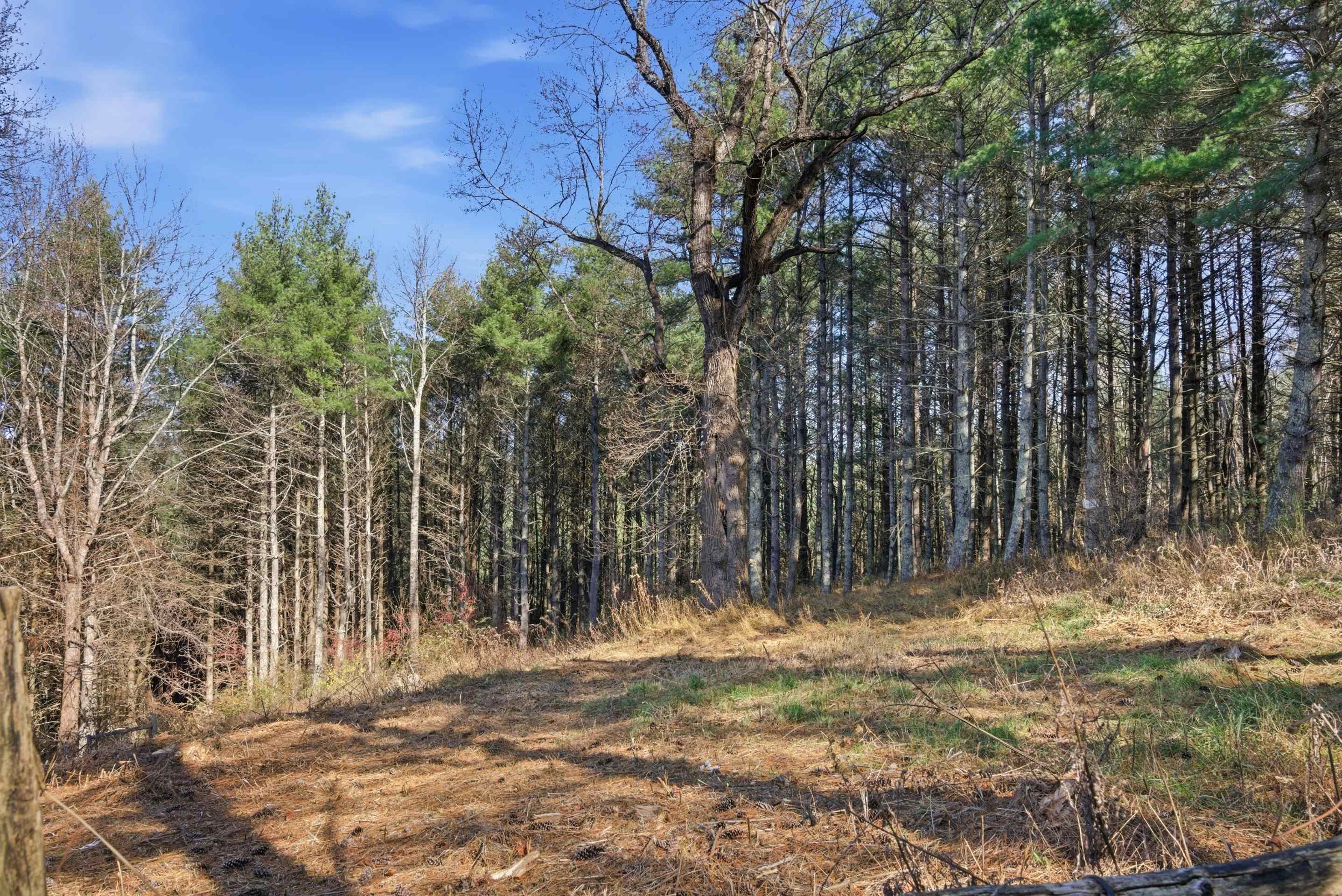 5320 Brush Creek Road Riner VA 24149