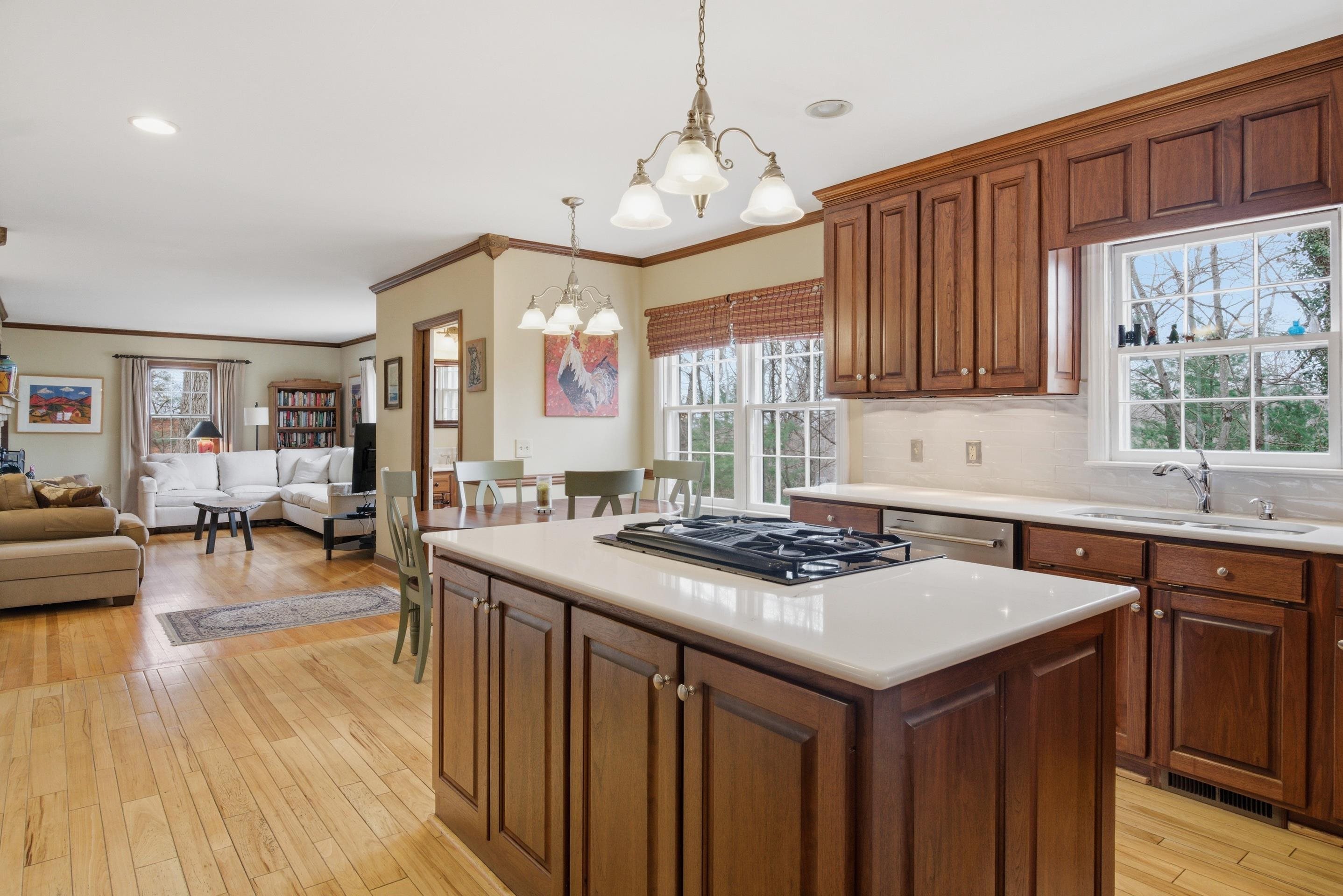 507 Forest Hill Drive Blacksburg VA 24060