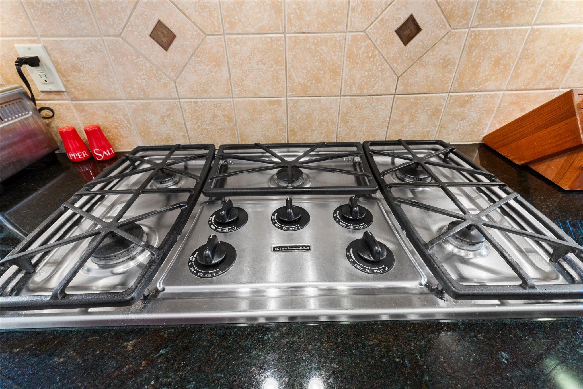 530 Wood Haven Court Blacksburg VA 24060