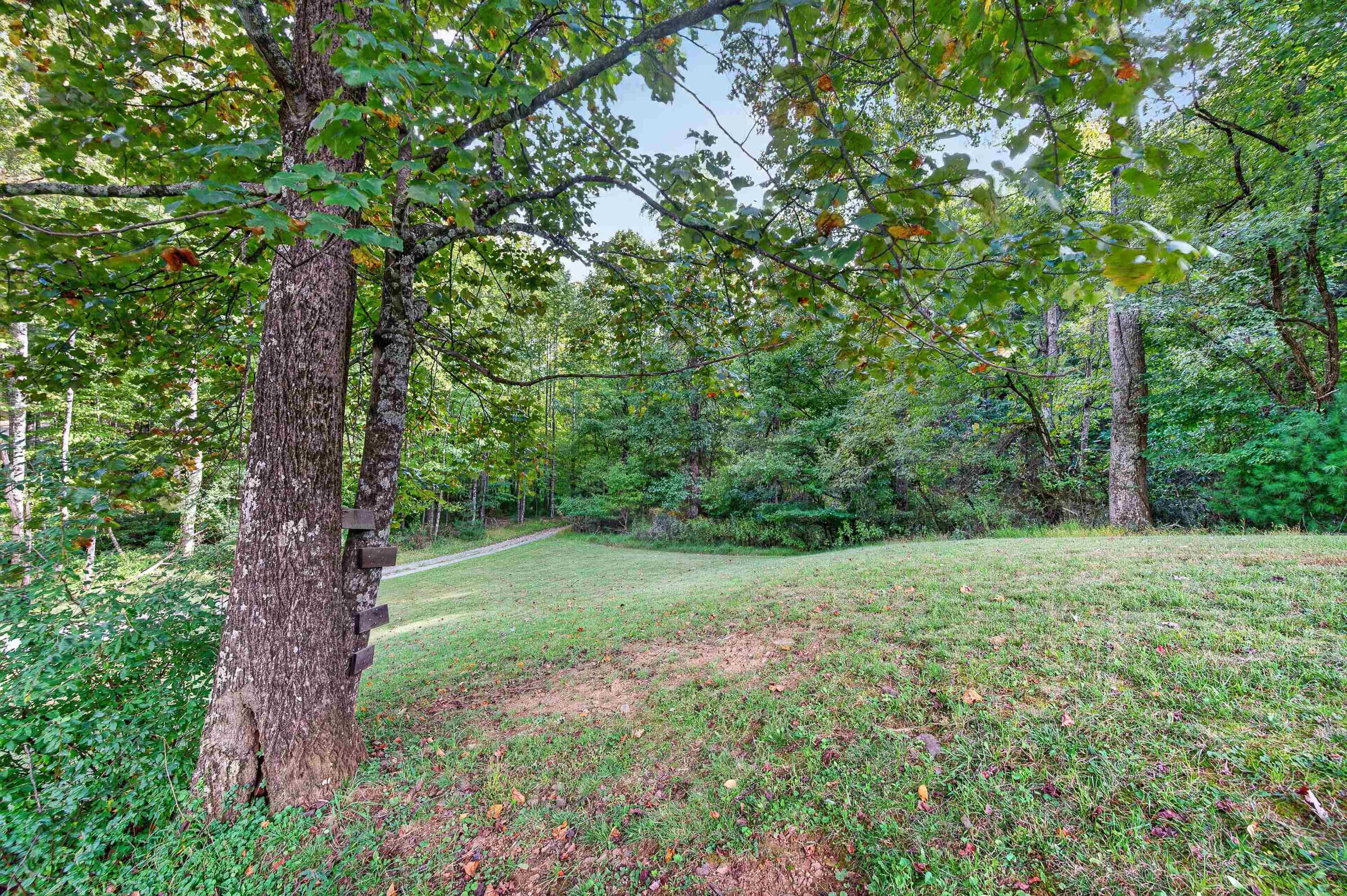 1310 Reedsville Road NW Floyd VA 24091