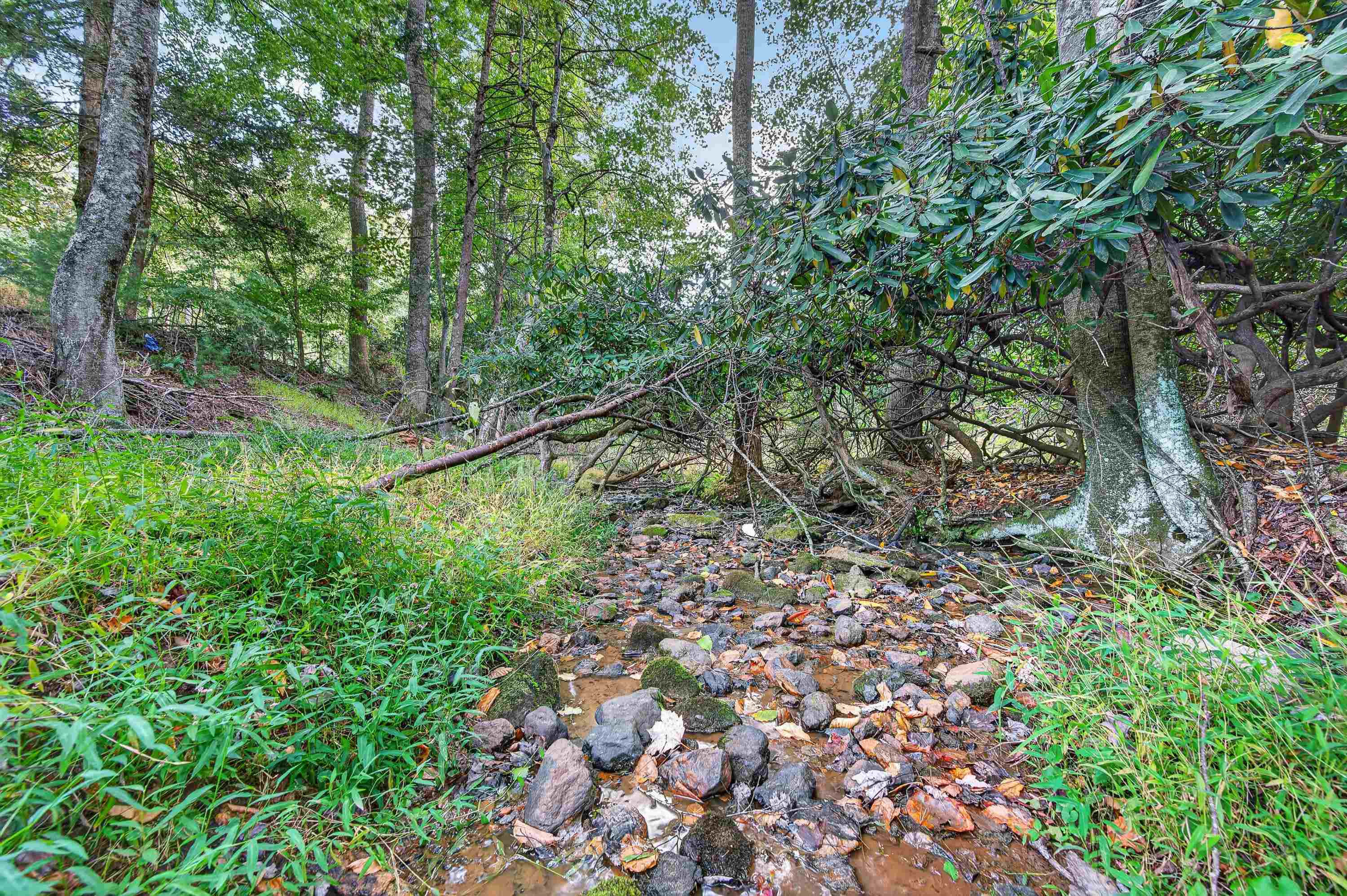 1310 Reedsville Road NW Floyd VA 24091