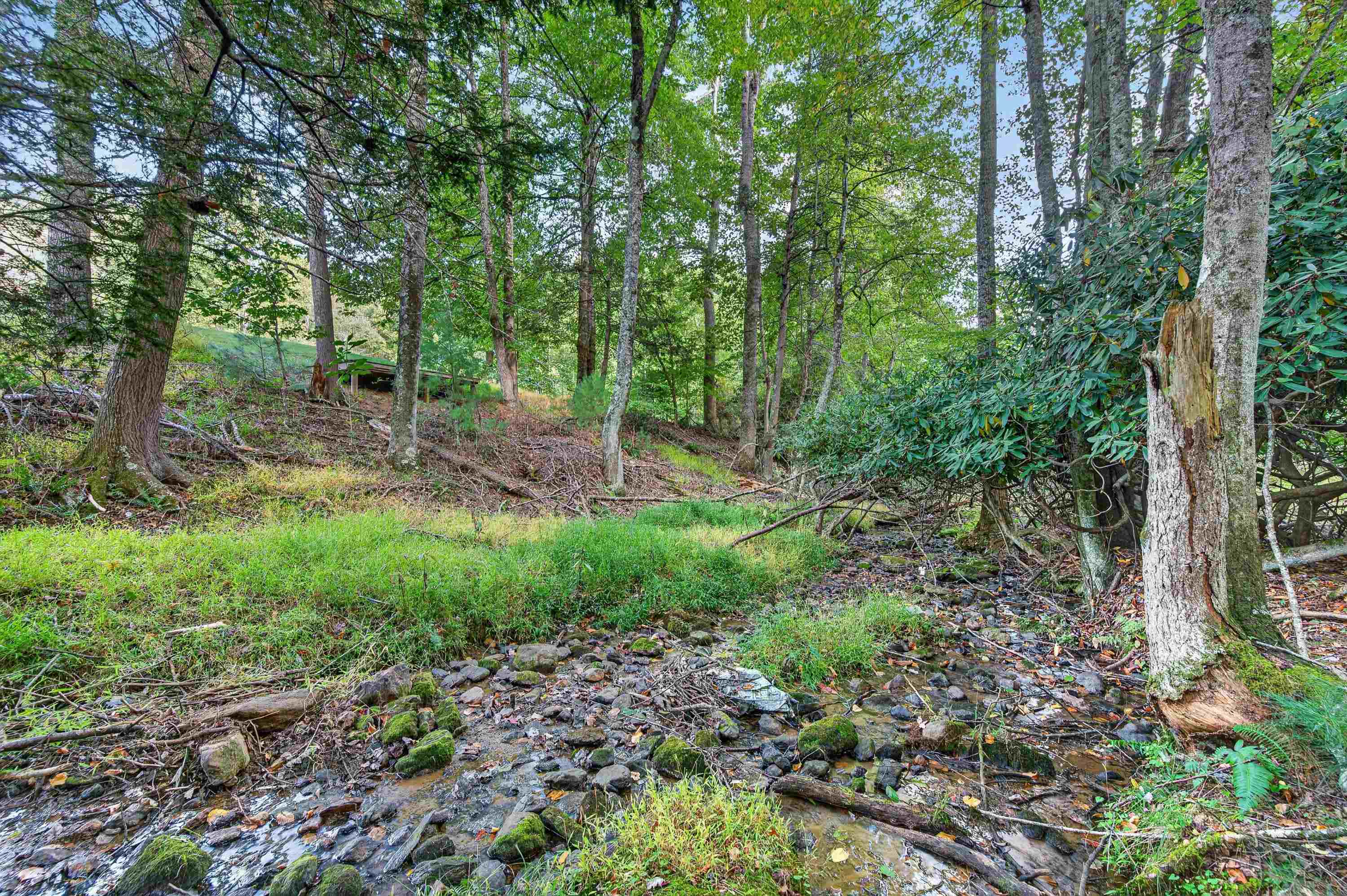 1310 Reedsville Road NW Floyd VA 24091