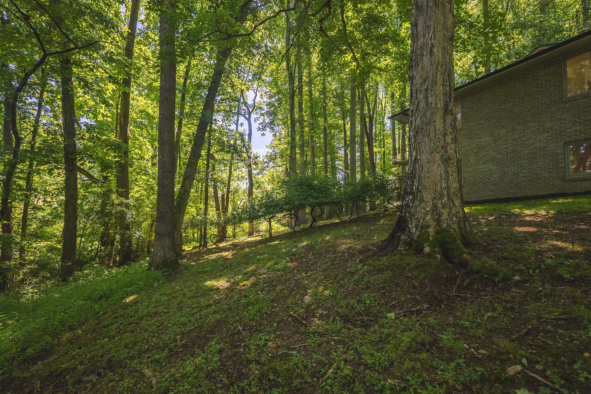1200 Lakewood Drive Blacksburg VA 24060