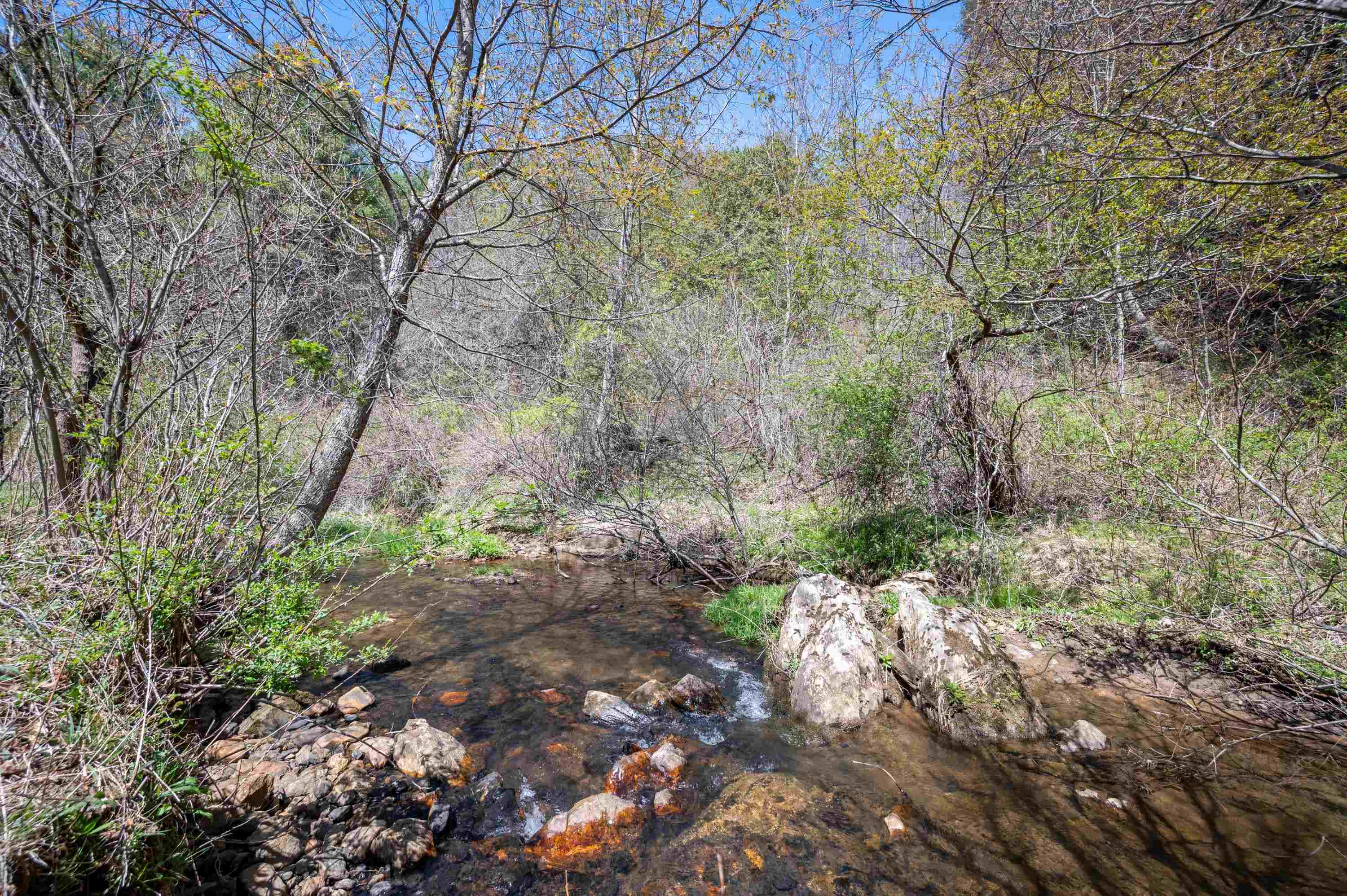 931 Maple Shade Road Laurel Fork VA 24352