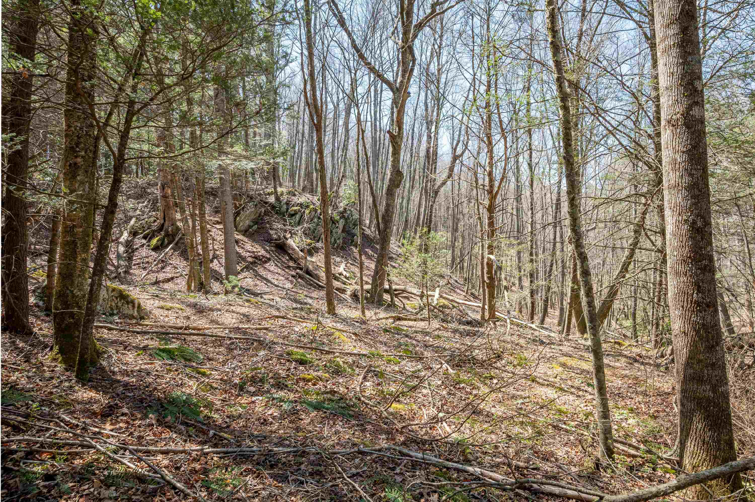 931 Maple Shade Road Laurel Fork VA 24352