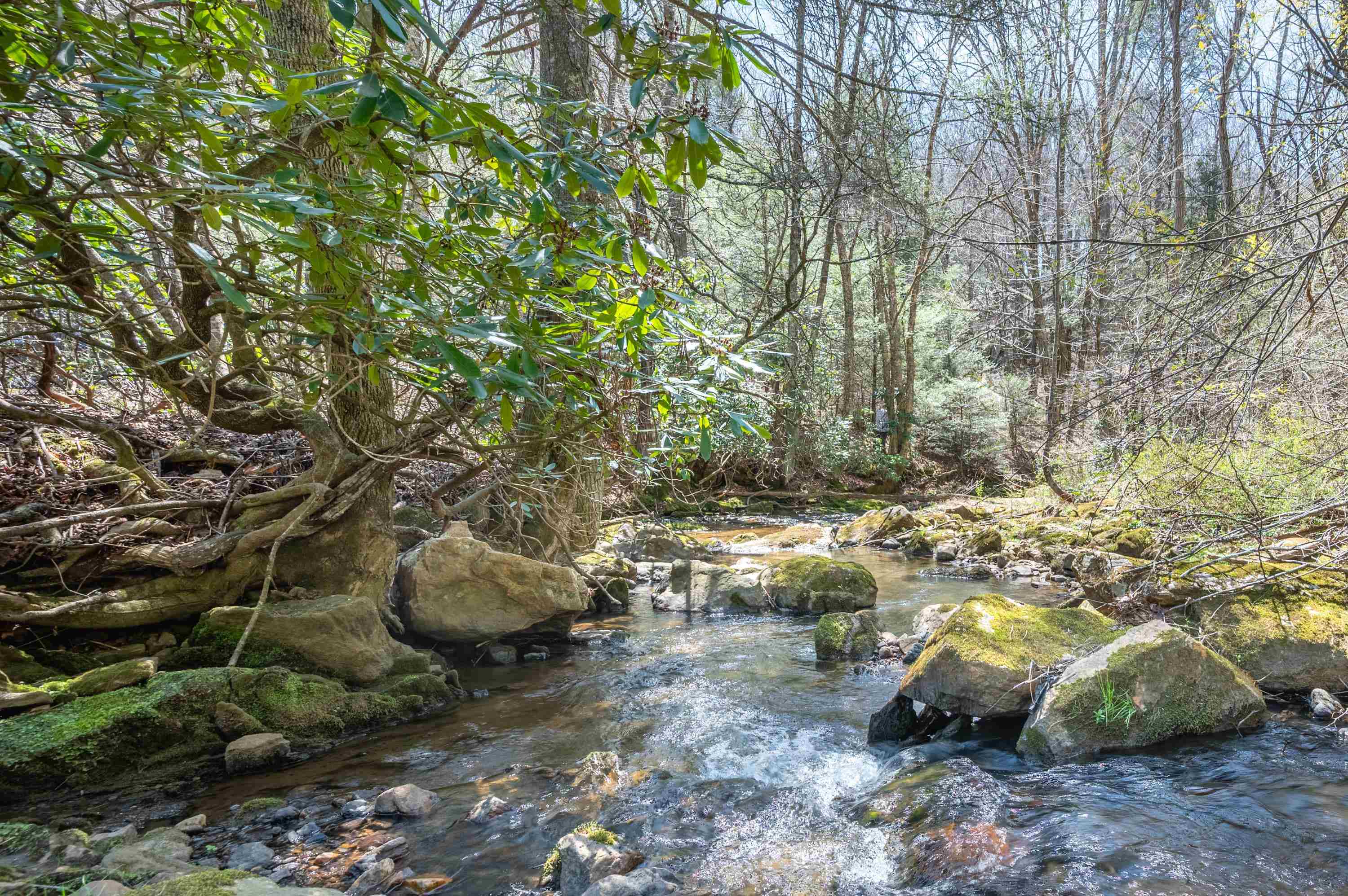 931 Maple Shade Road Laurel Fork VA 24352