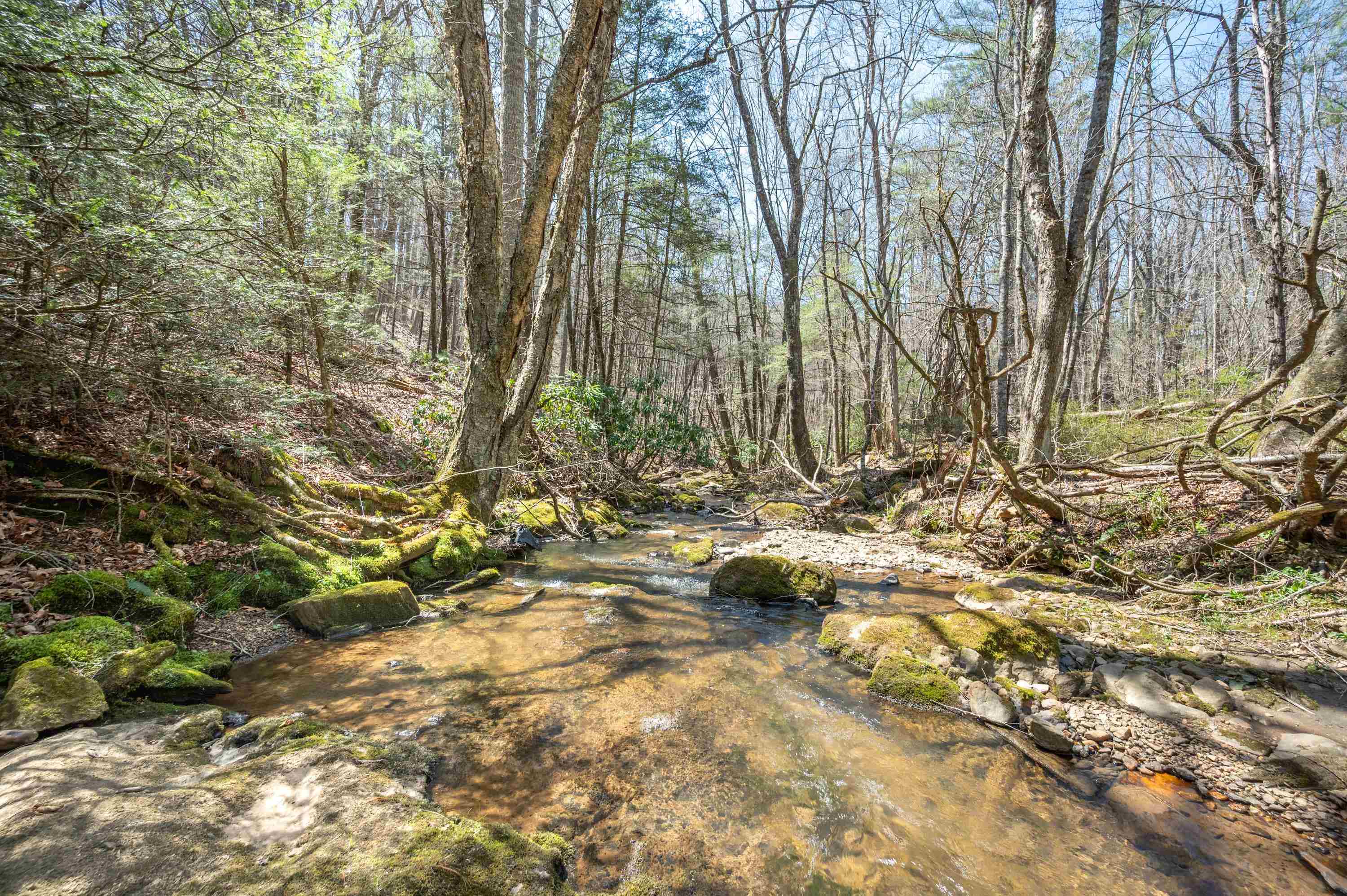 931 Maple Shade Road Laurel Fork VA 24352