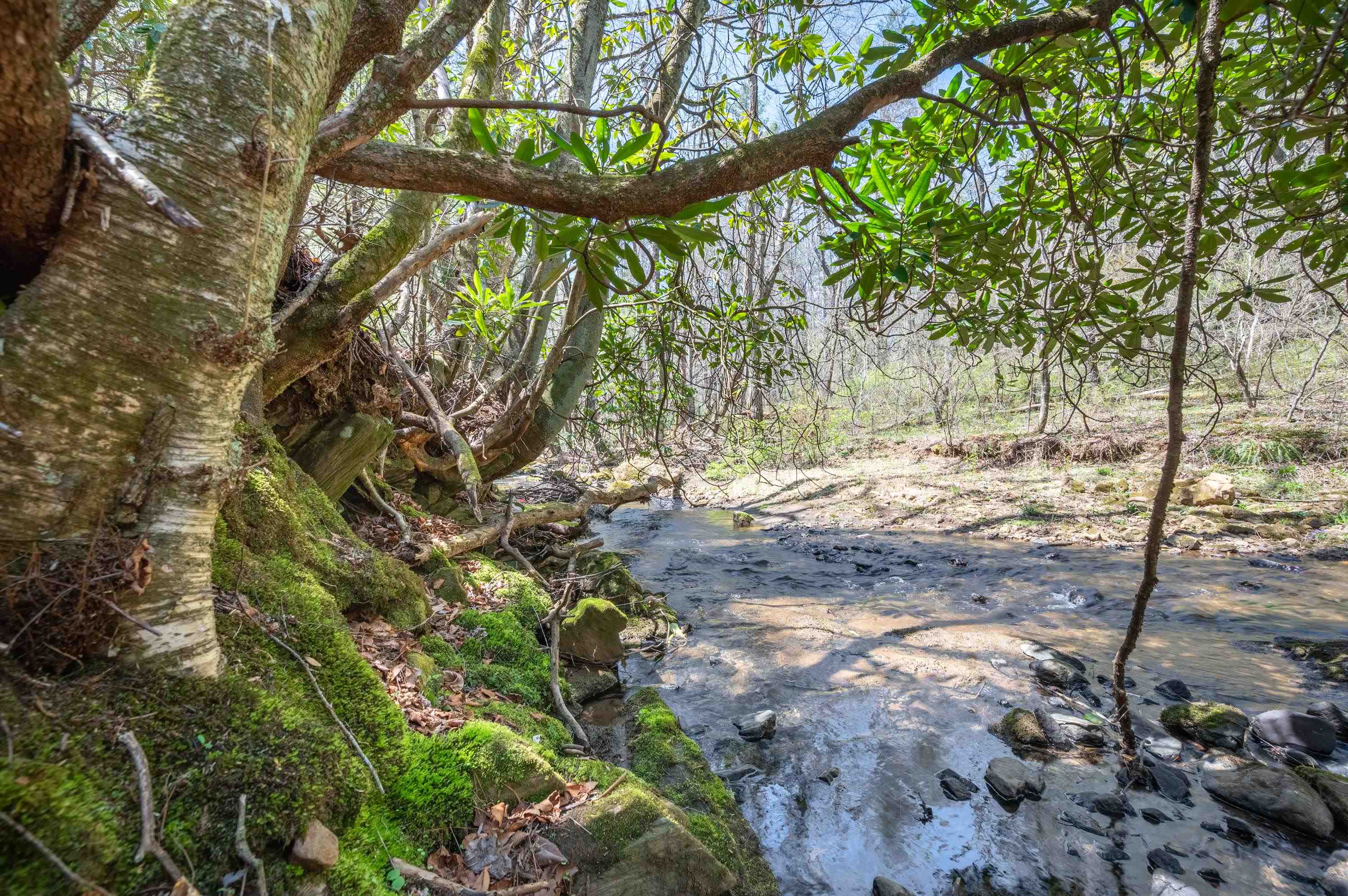 931 Maple Shade Road Laurel Fork VA 24352