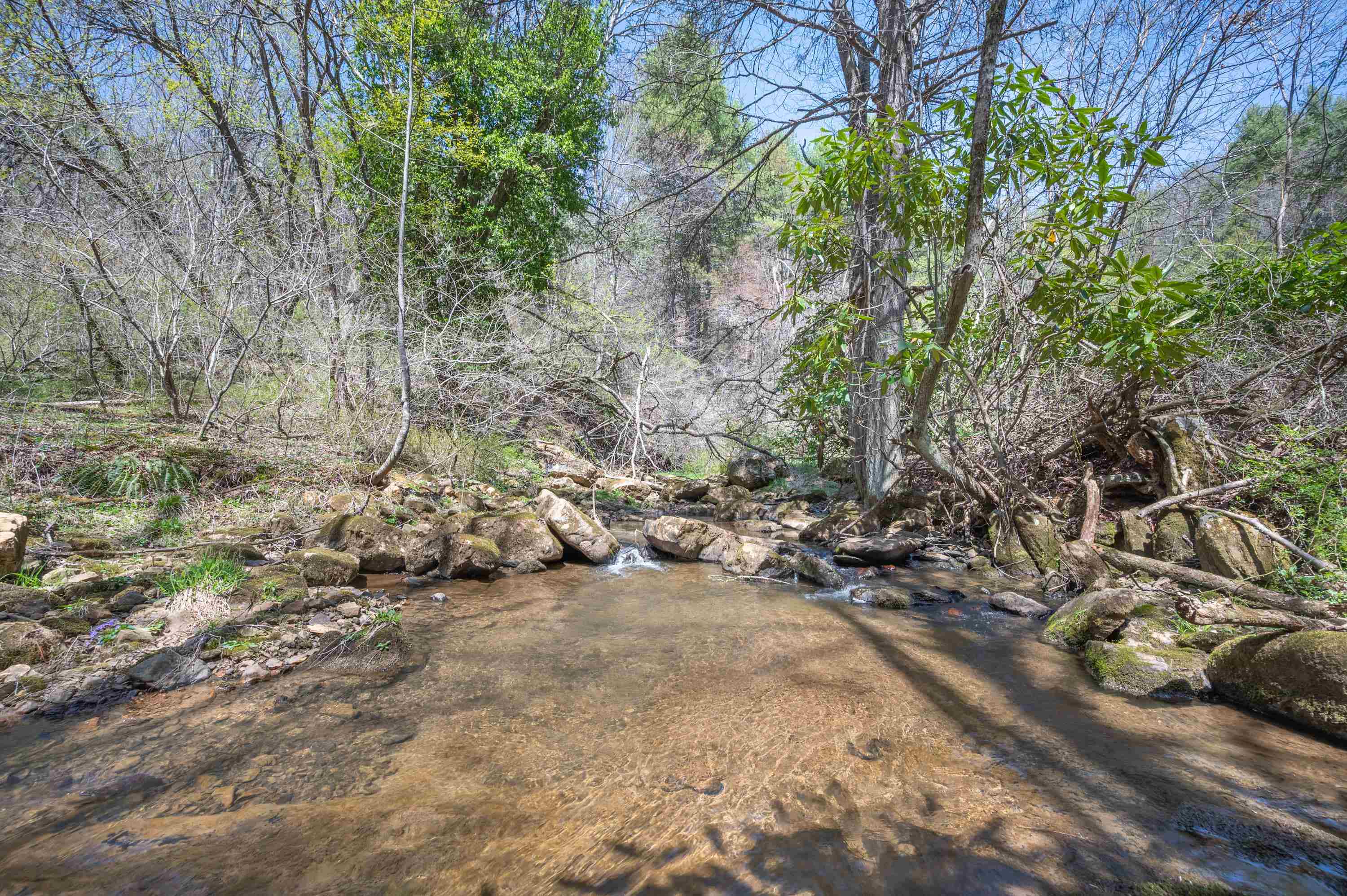 931 Maple Shade Road Laurel Fork VA 24352