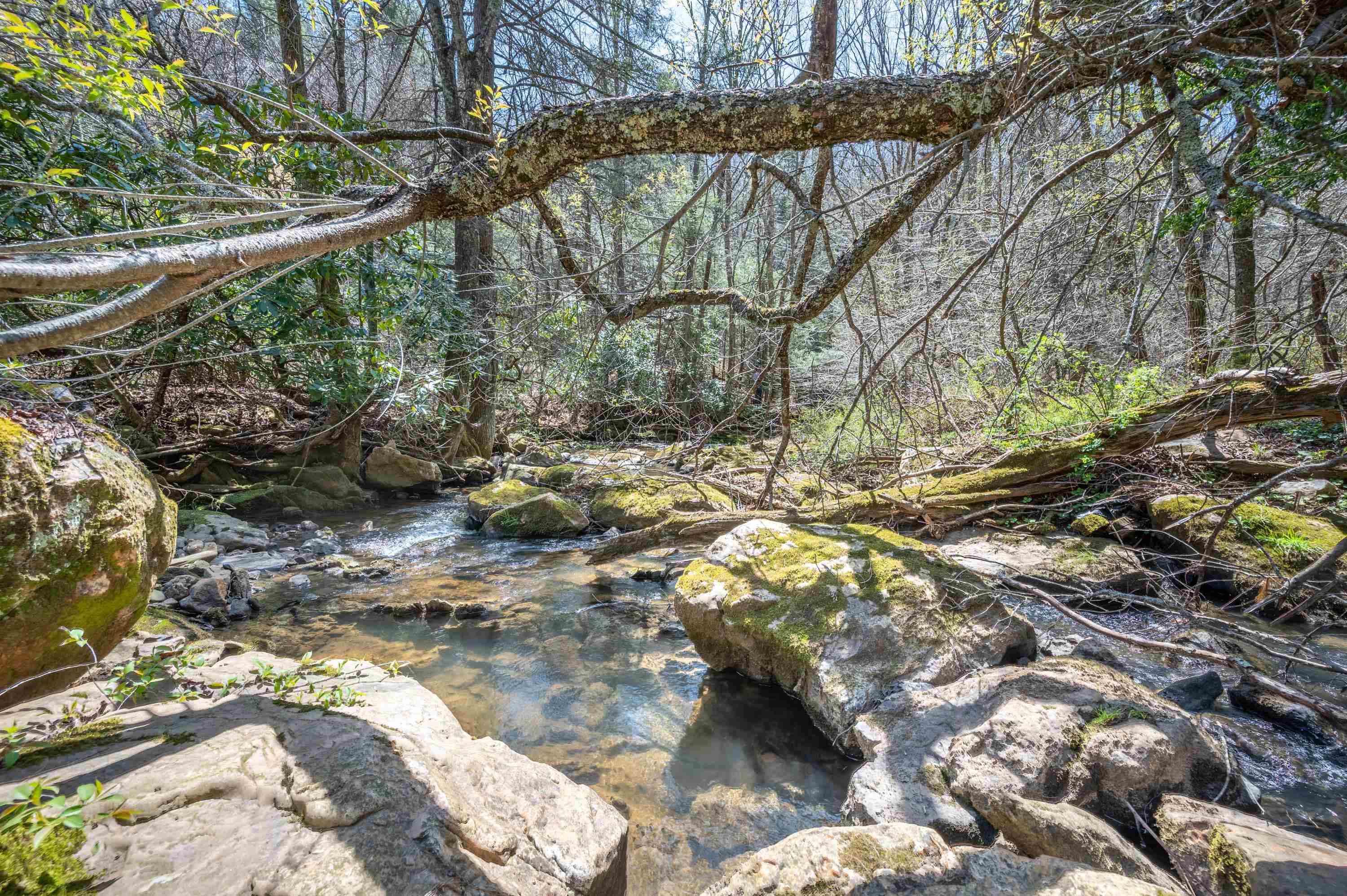 931 Maple Shade Road Laurel Fork VA 24352