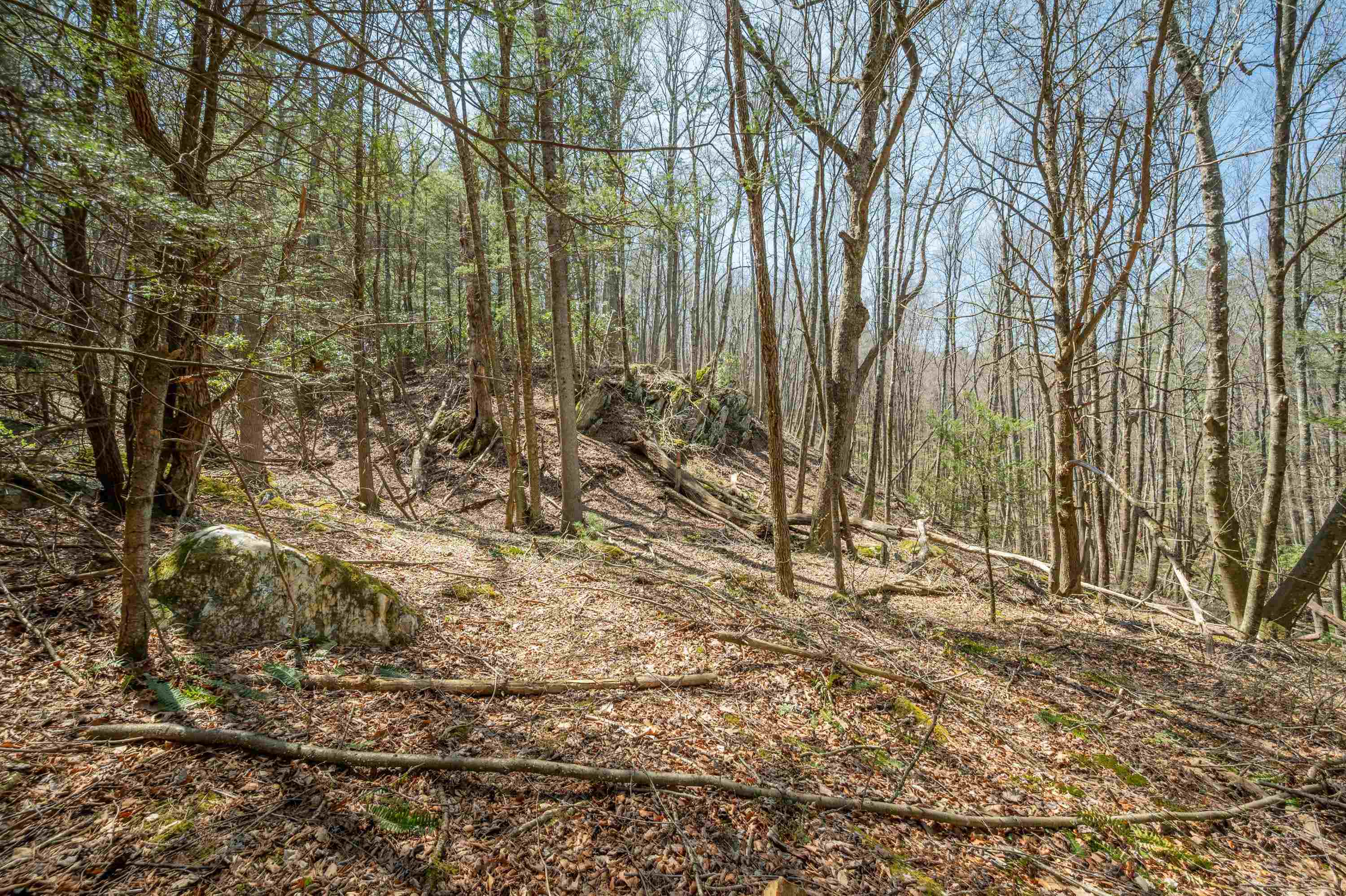 931 Maple Shade Road Laurel Fork VA 24352