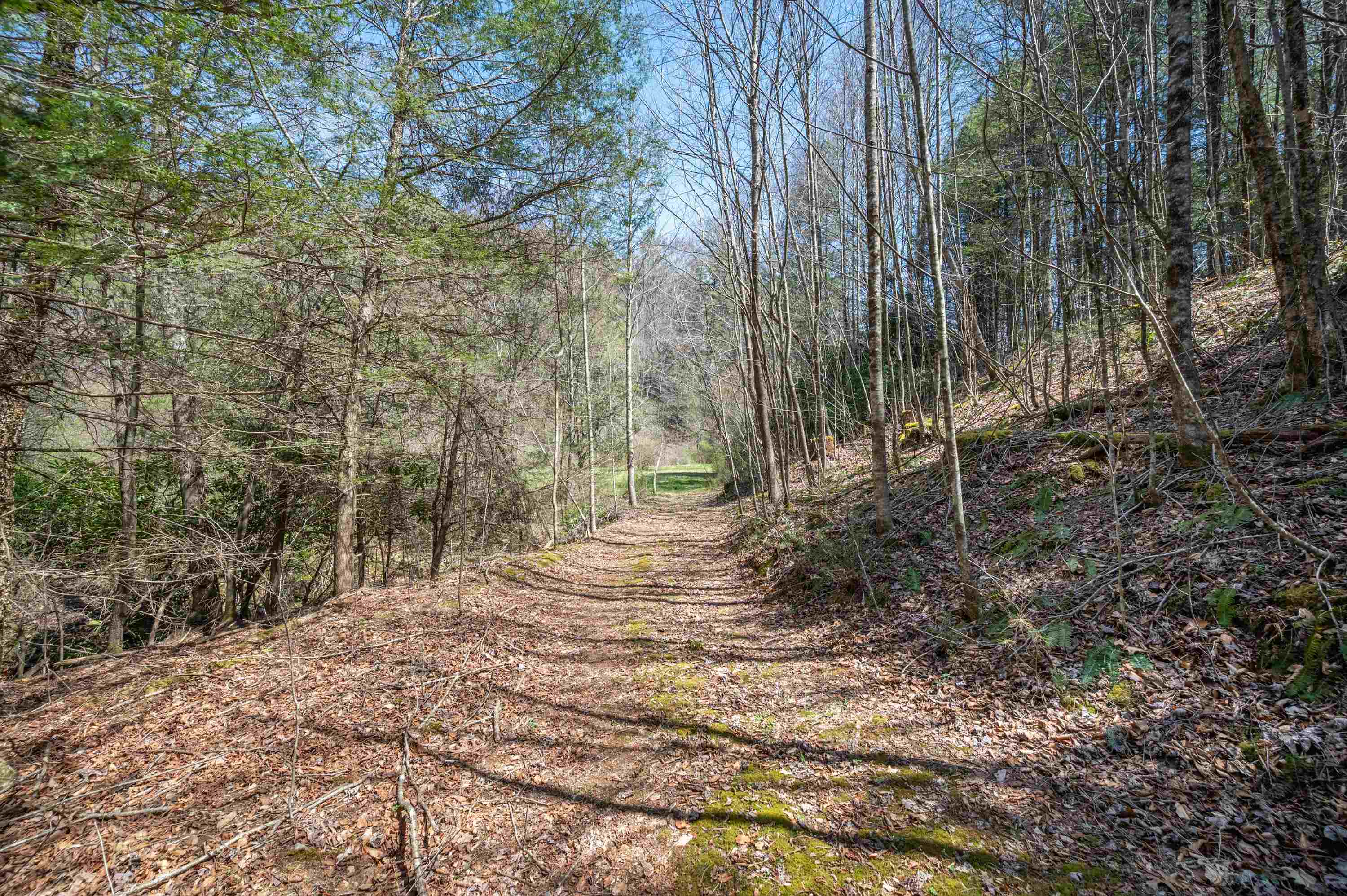 931 Maple Shade Road Laurel Fork VA 24352