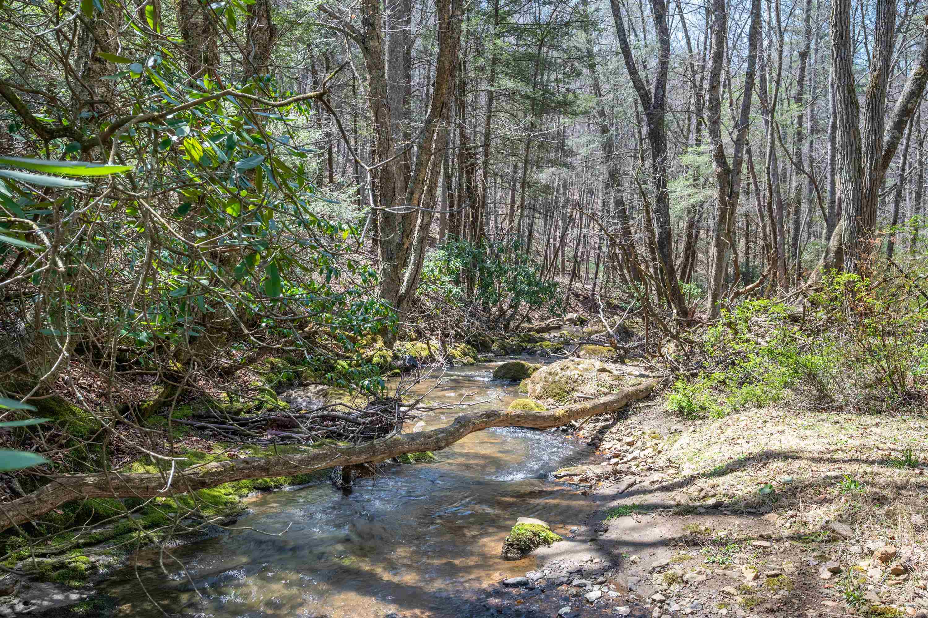 931 Maple Shade Road Laurel Fork VA 24352