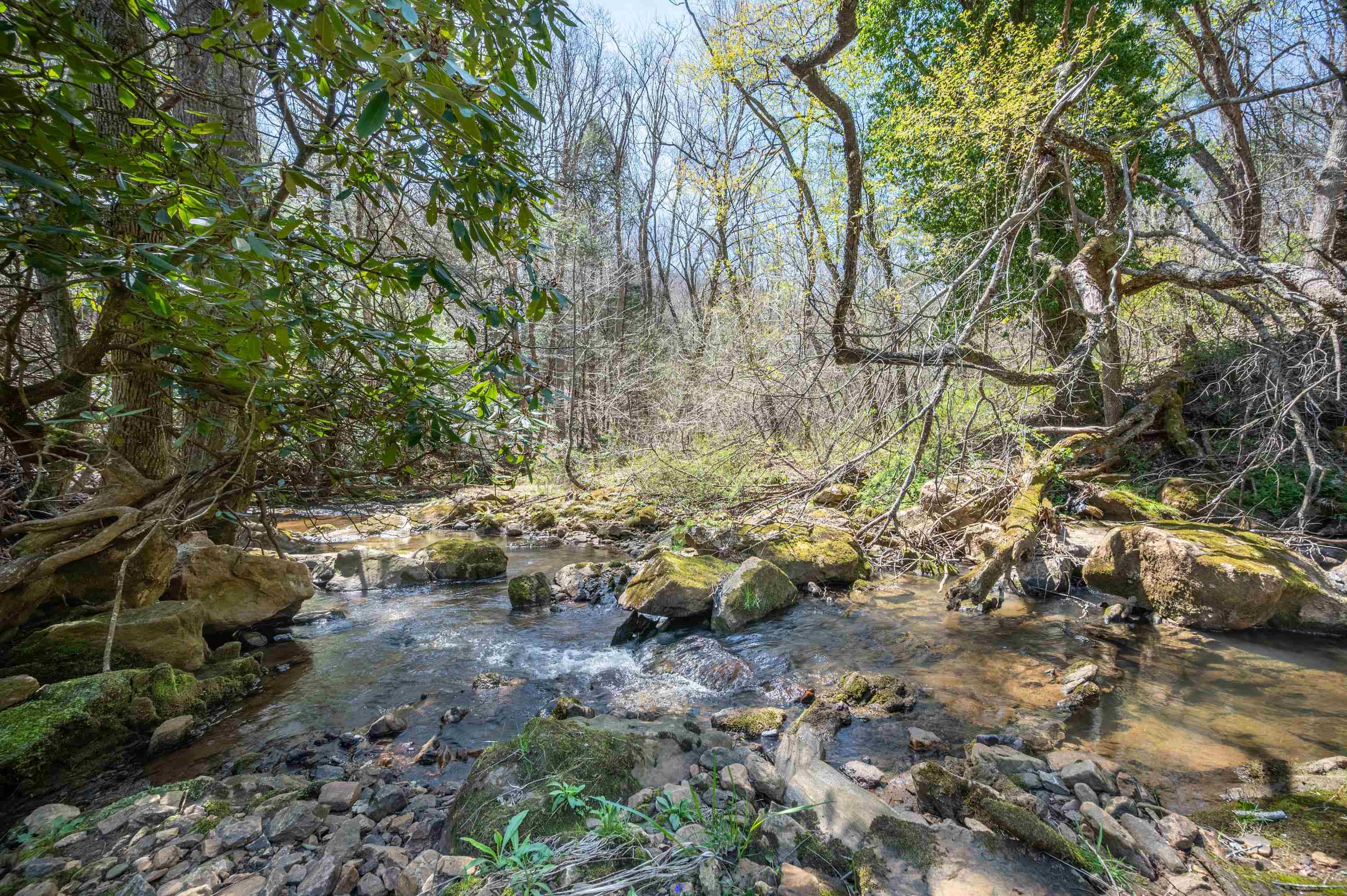 931 Maple Shade Road Laurel Fork VA 24352