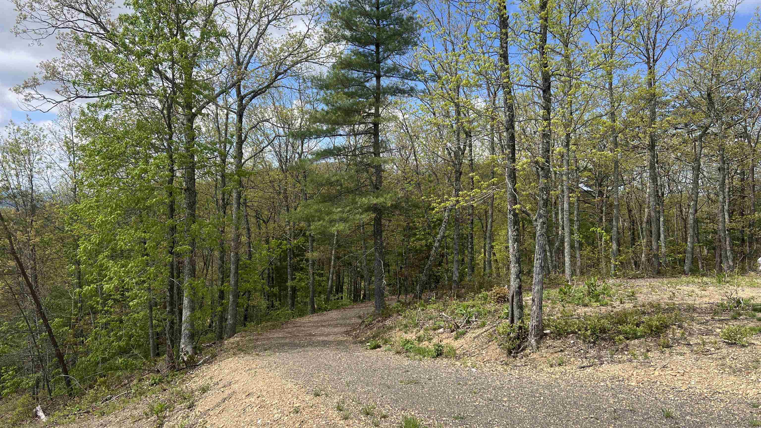 1485 Lead Mine Road Austinville VA 24312